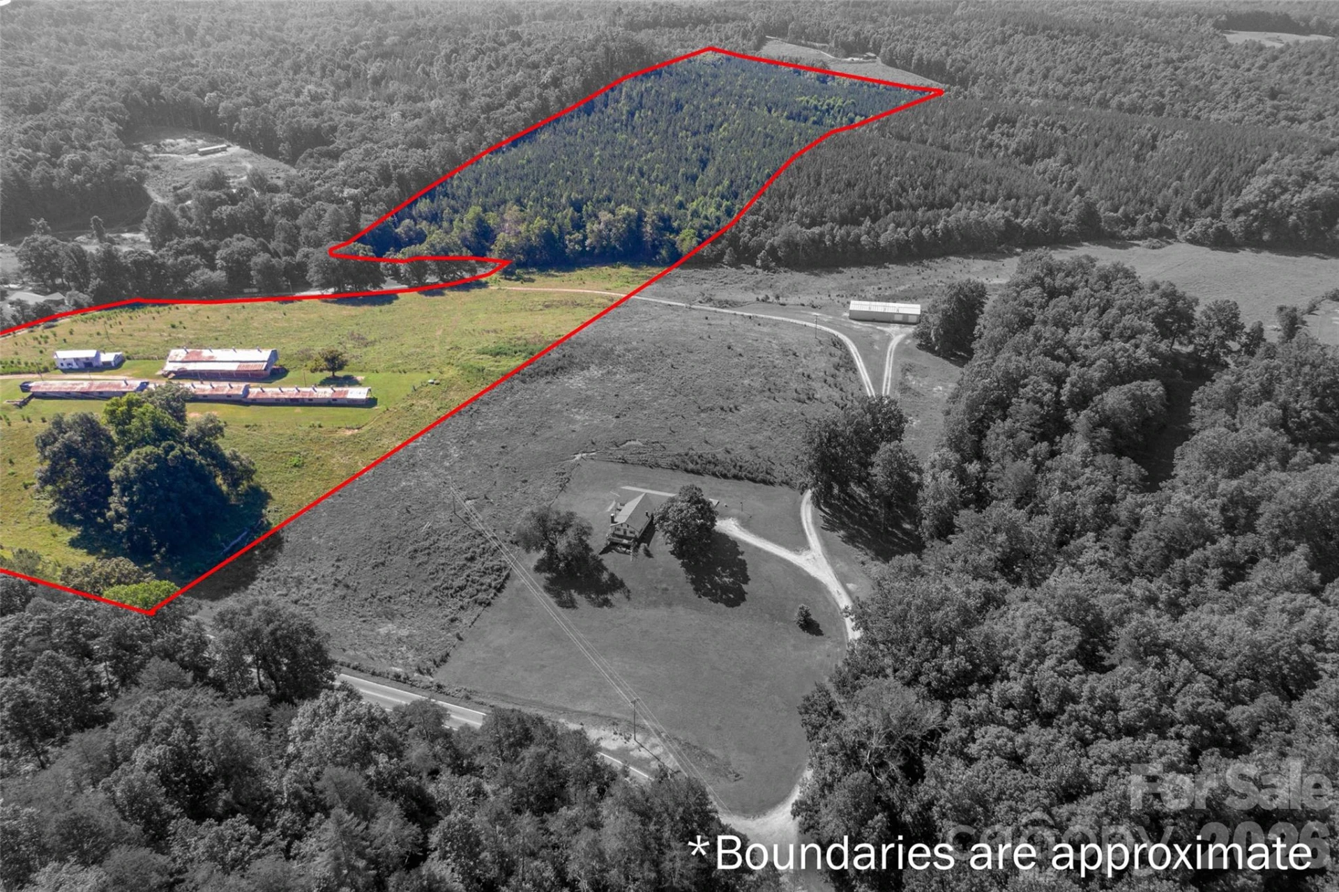 83 Acres +/- Pleasant Grove Road - Photo 5
