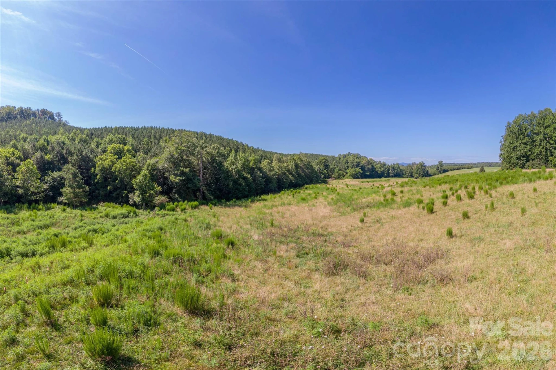 83 Acres +/- Pleasant Grove Road - Photo 25