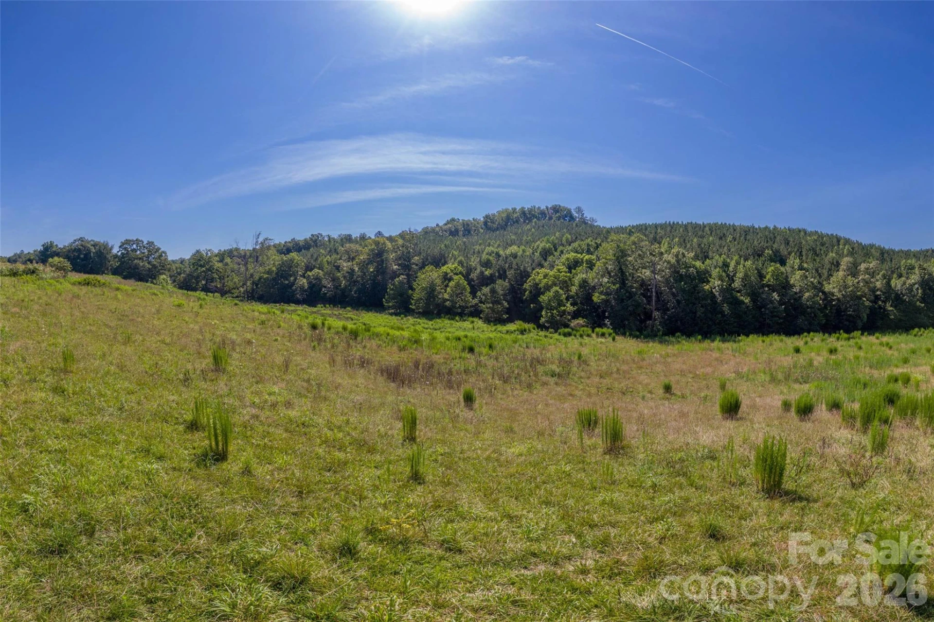 83 Acres +/- Pleasant Grove Road - Photo 26