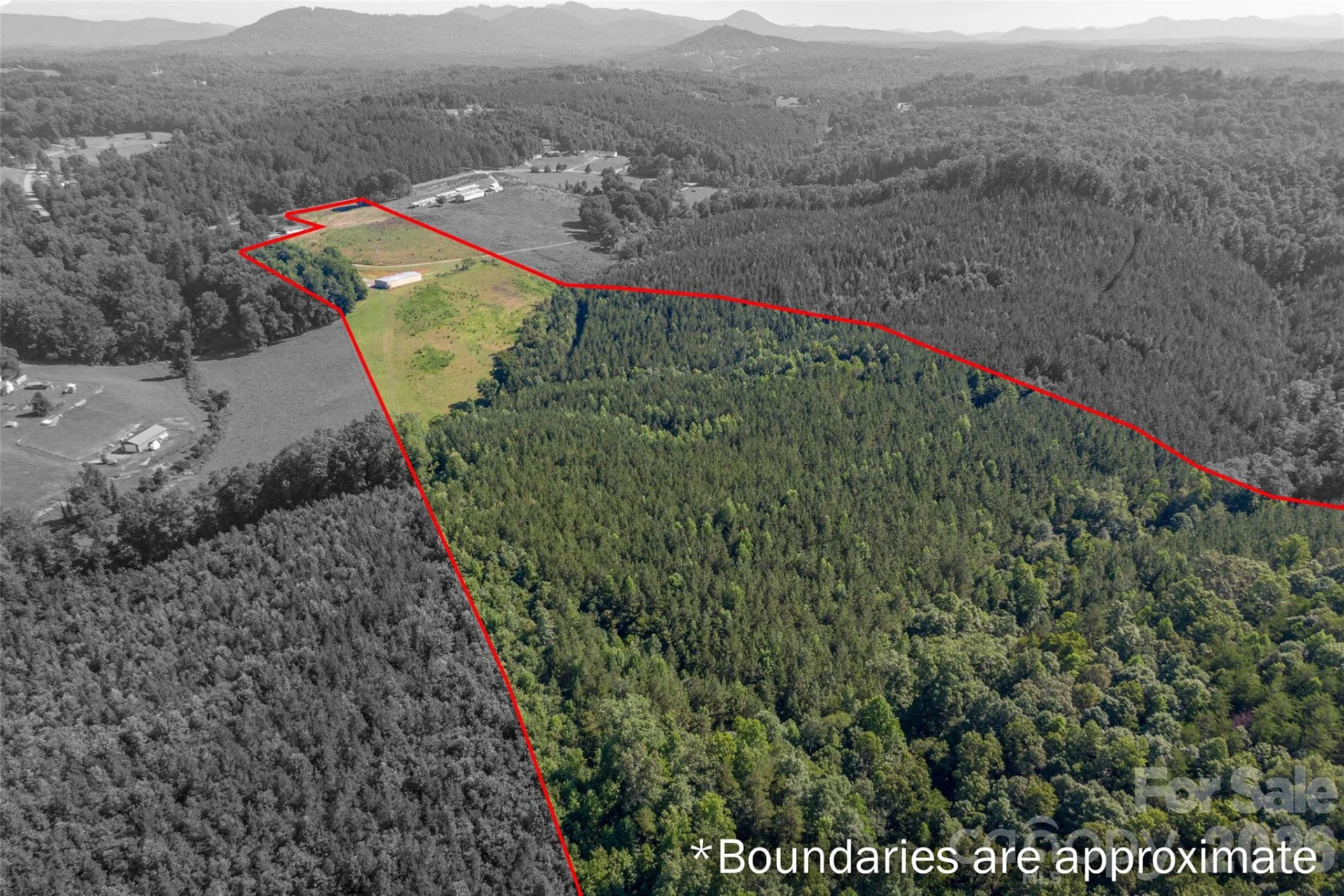 83 Acres +/- Pleasant Grove Road - Photo 7