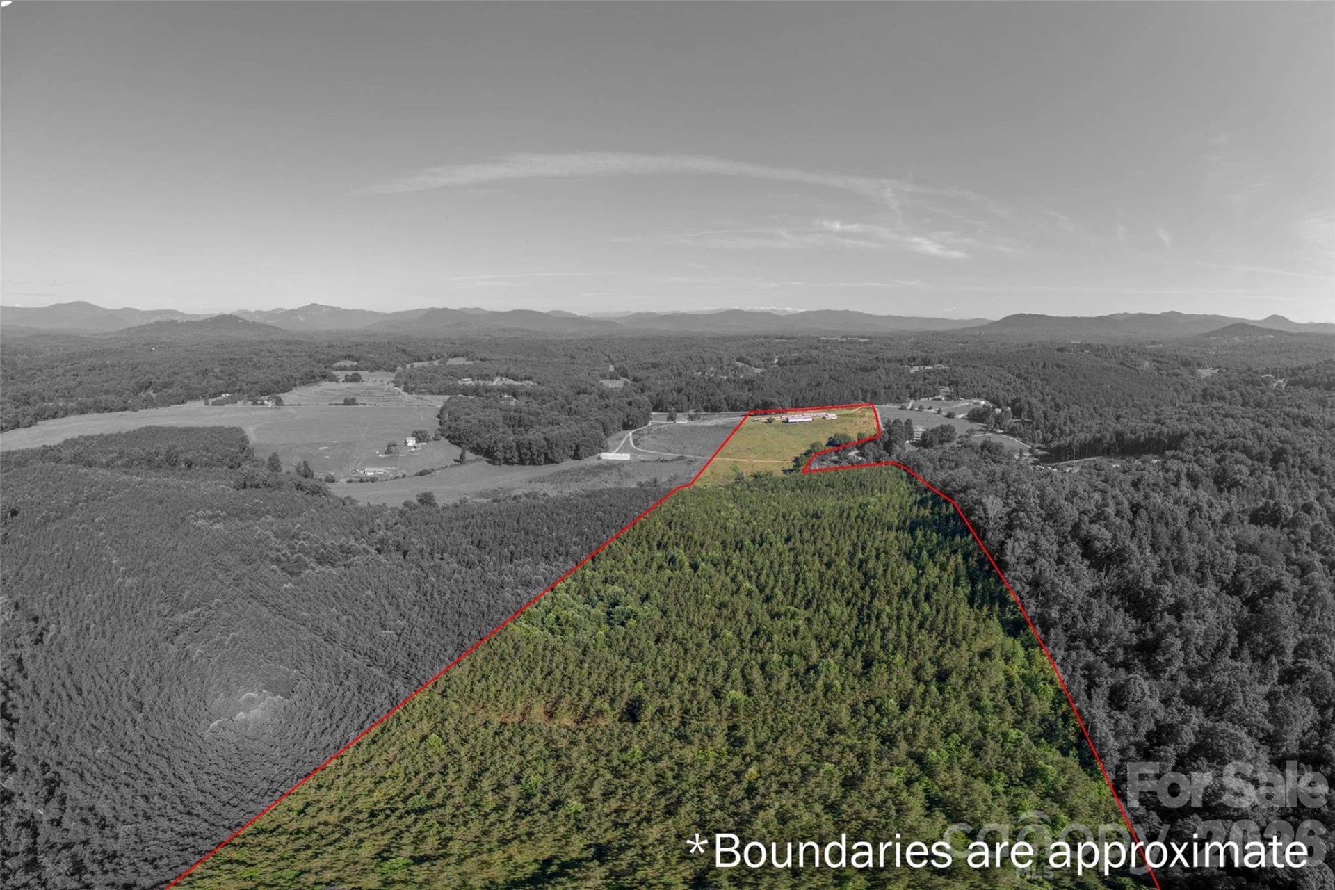83 Acres +/- Pleasant Grove Road - Photo 9