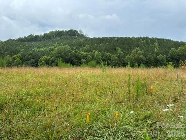 83 Acres +/- Pleasant Grove Road - Photo 11