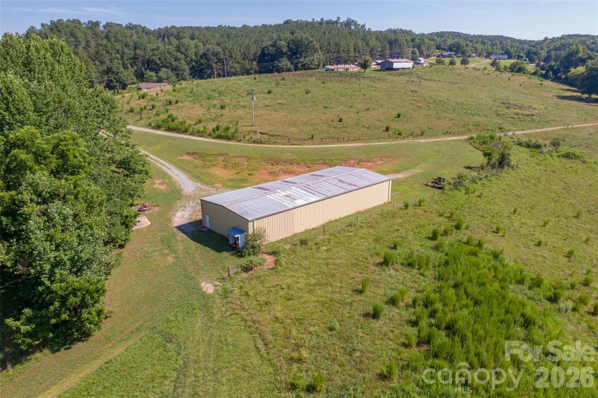 83 Acres +/- Pleasant Grove Road - Photo 14