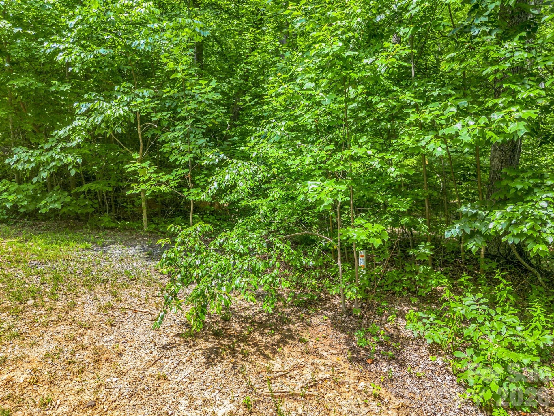 Lot 29 Matho Trace #29 - Photo 4