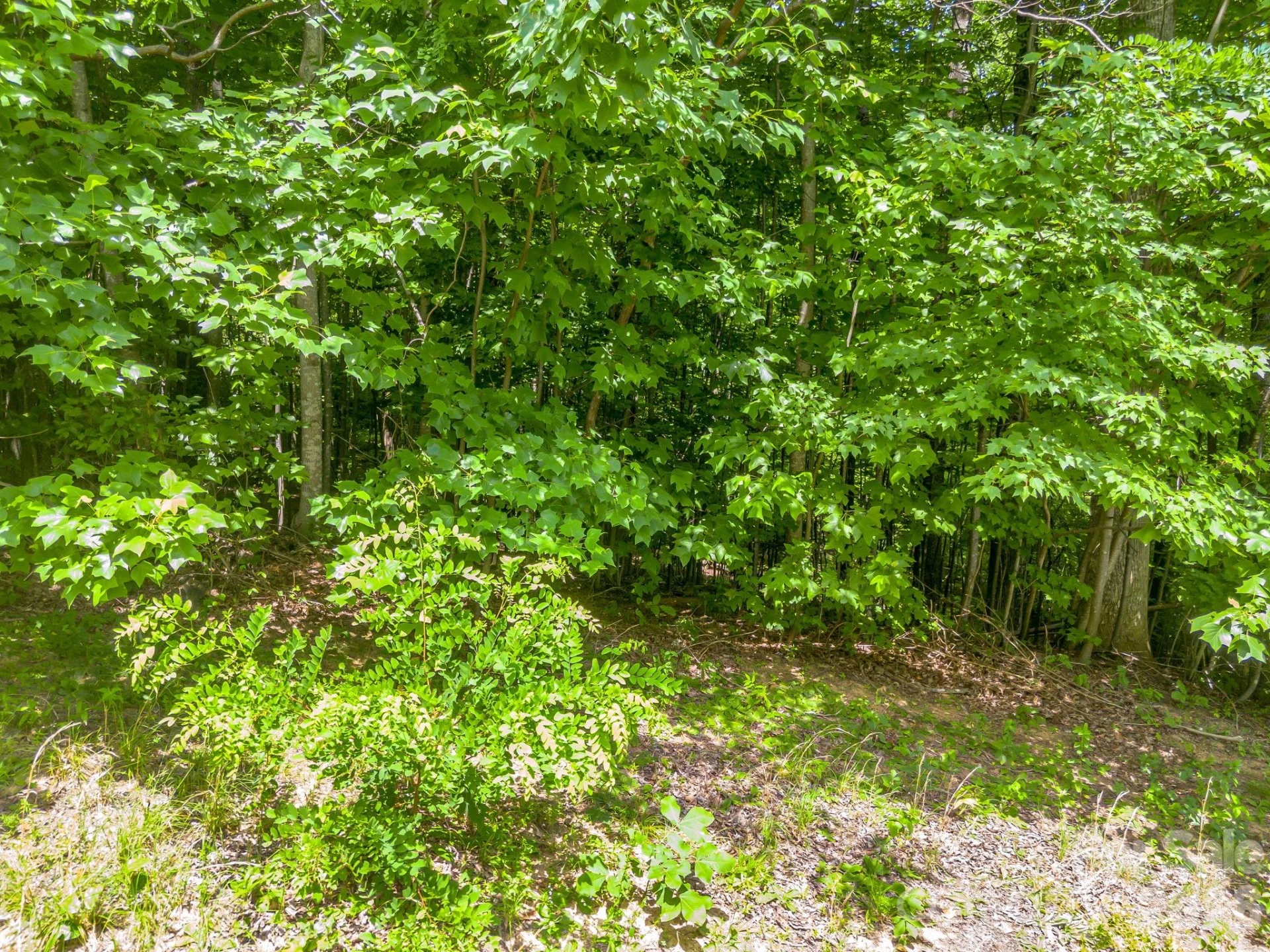 Lot 29 Matho Trace #29 - Photo 5