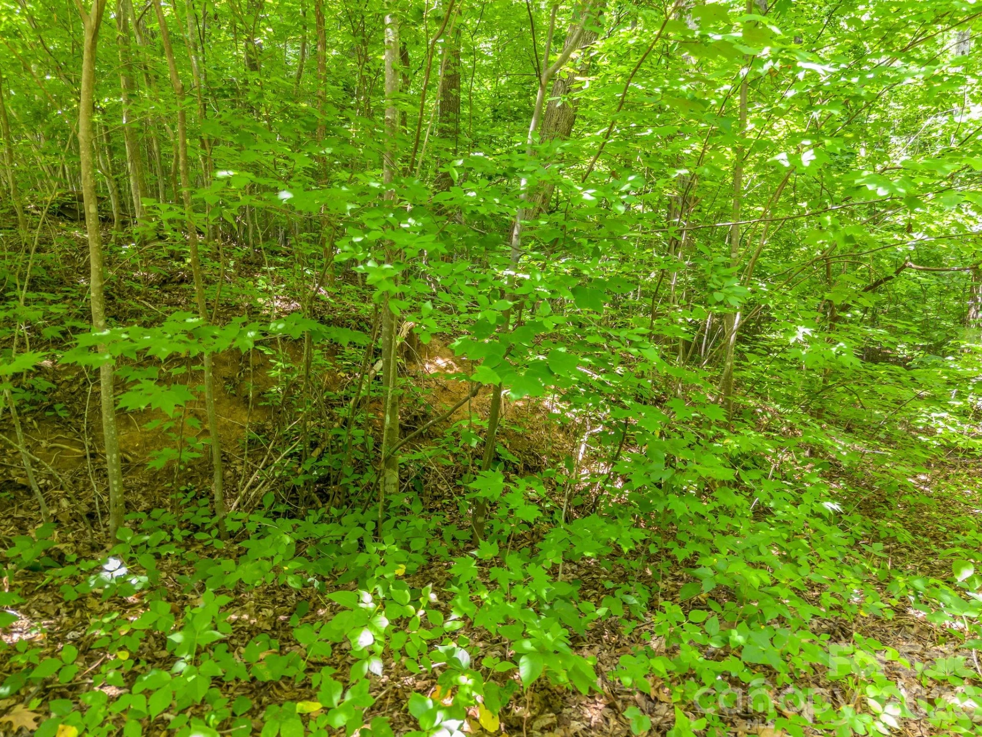 Lot 29 Matho Trace #29 - Photo 6