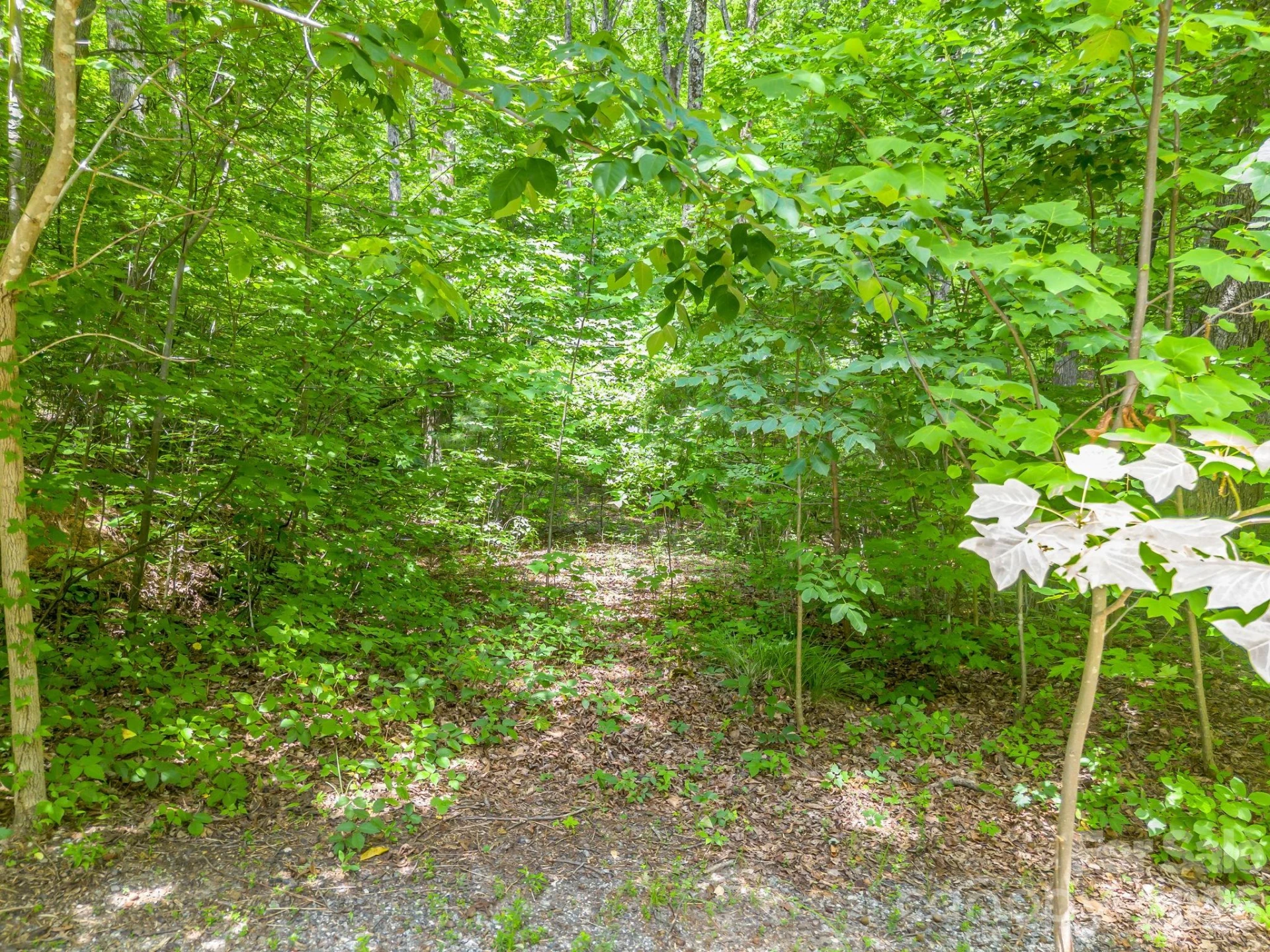 Lot 29 Matho Trace #29 - Photo 7
