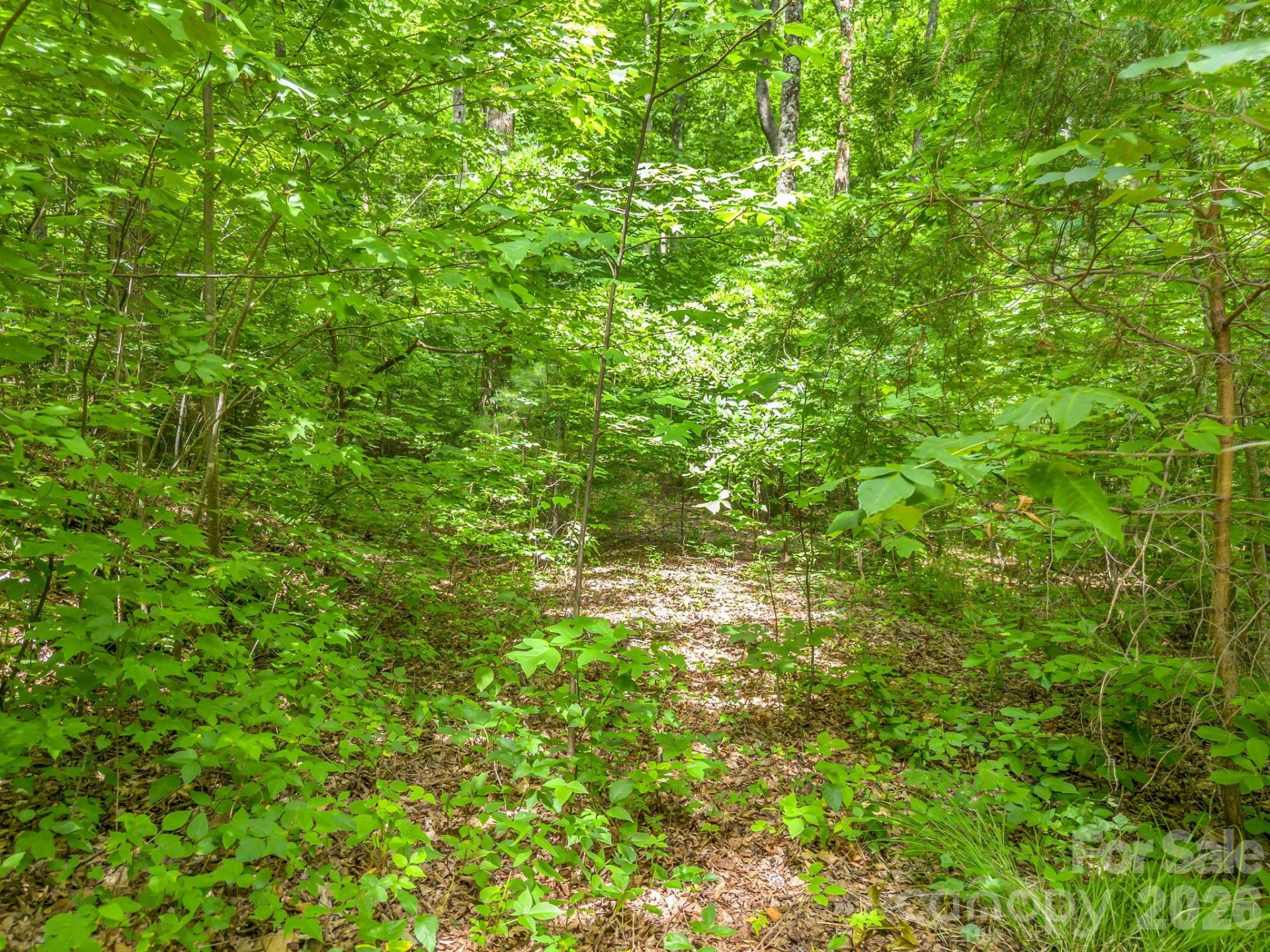 Lot 29 Matho Trace #29 - Photo 8