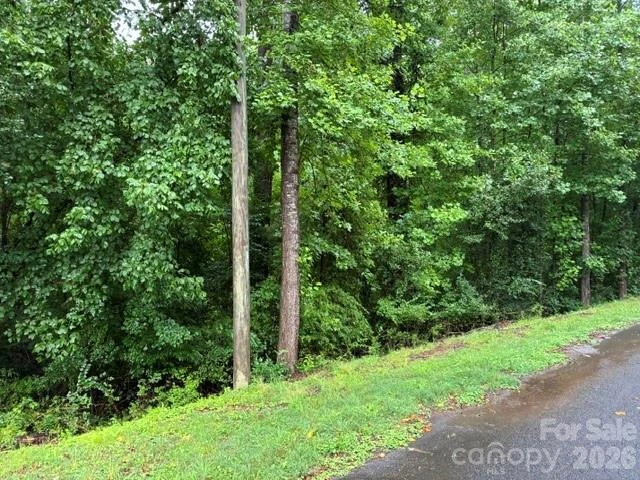 2.85 acres +/- Kimbrell Lane - Photo 4