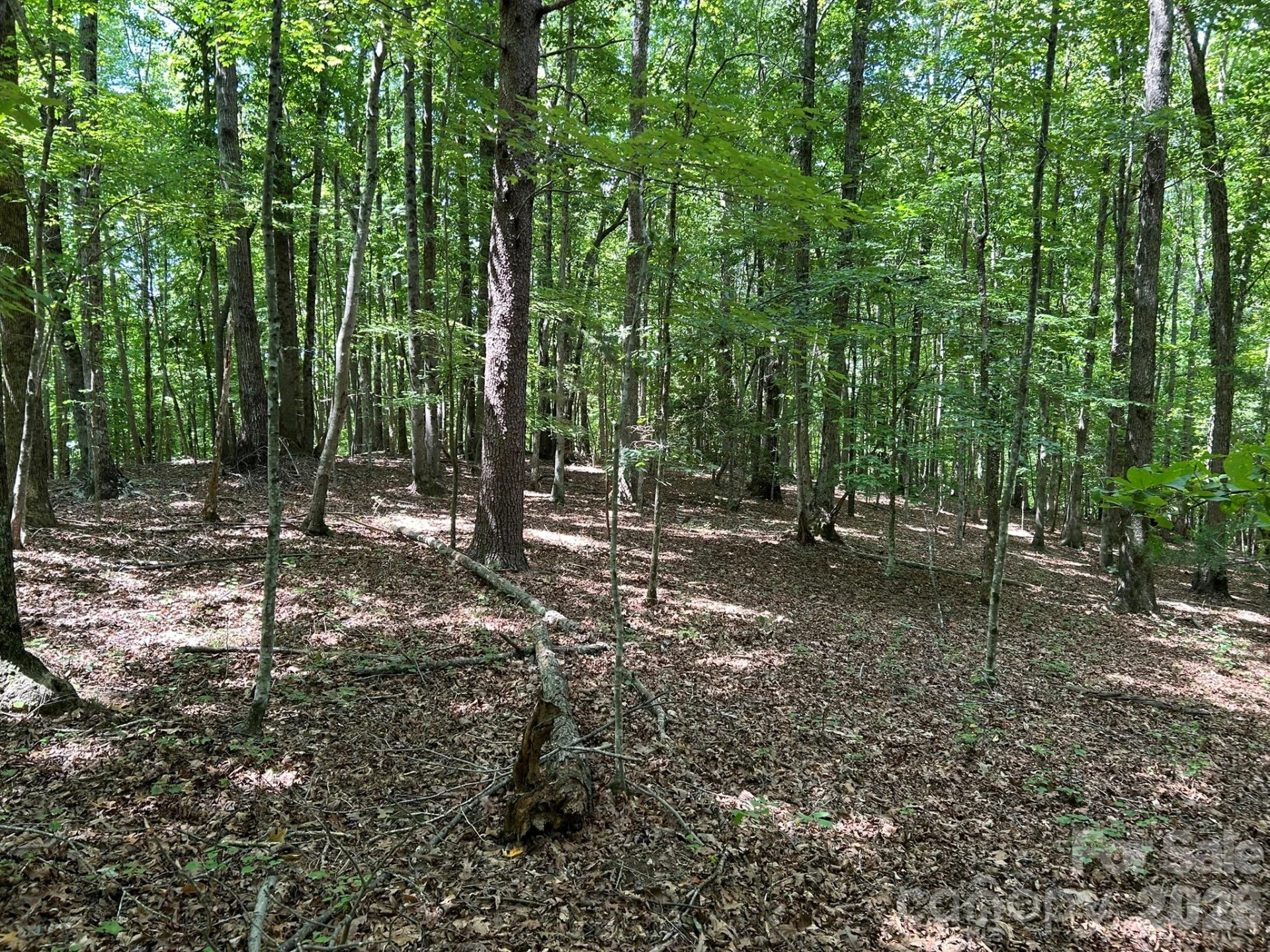 0 Wilderness Ridge #4 - Photo 11
