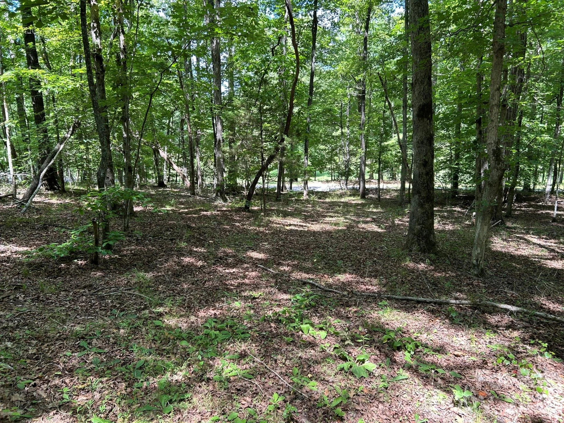 0 Wilderness Ridge #4 - Photo 4
