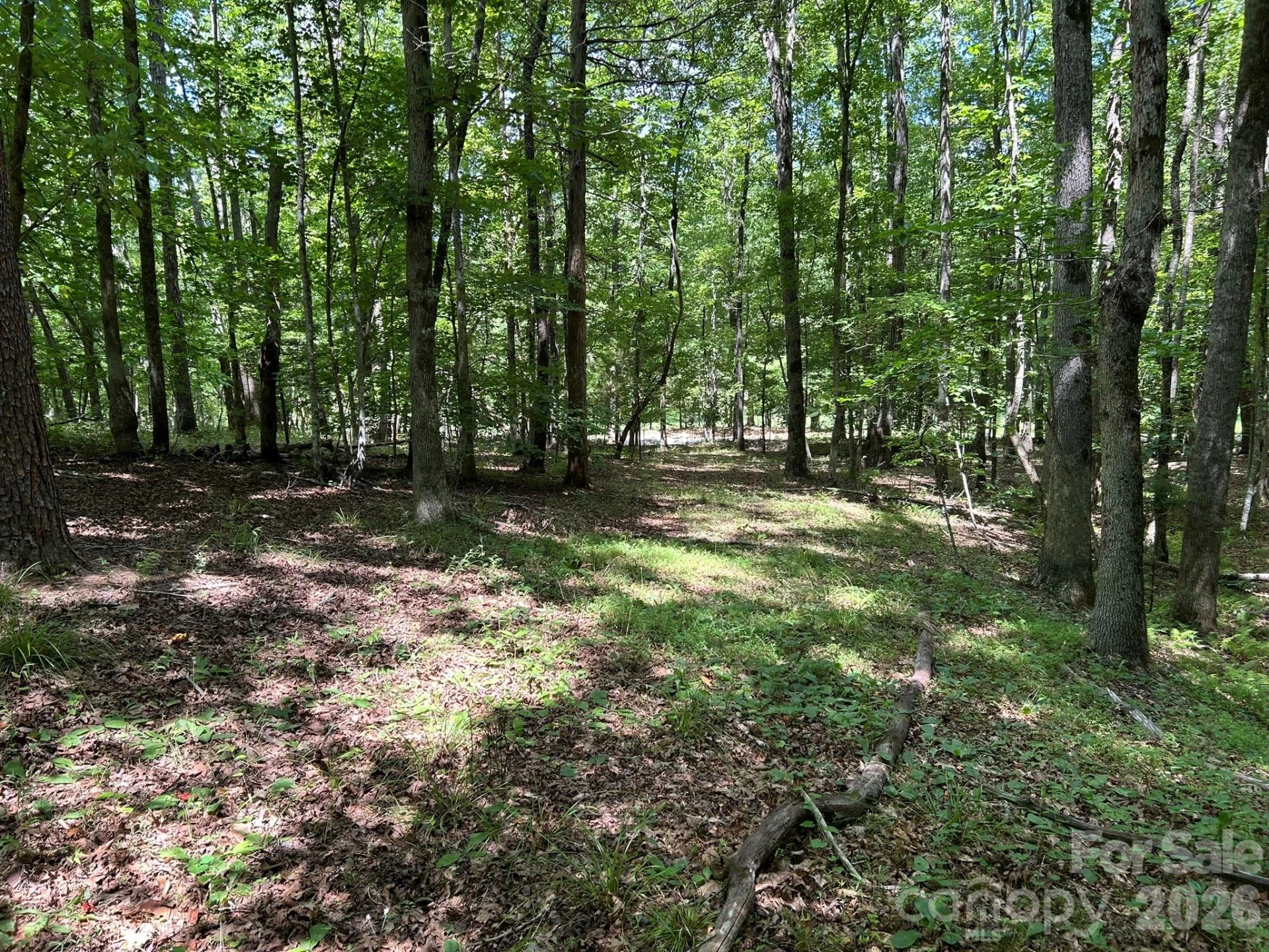 0 Wilderness Ridge #4 - Photo 5