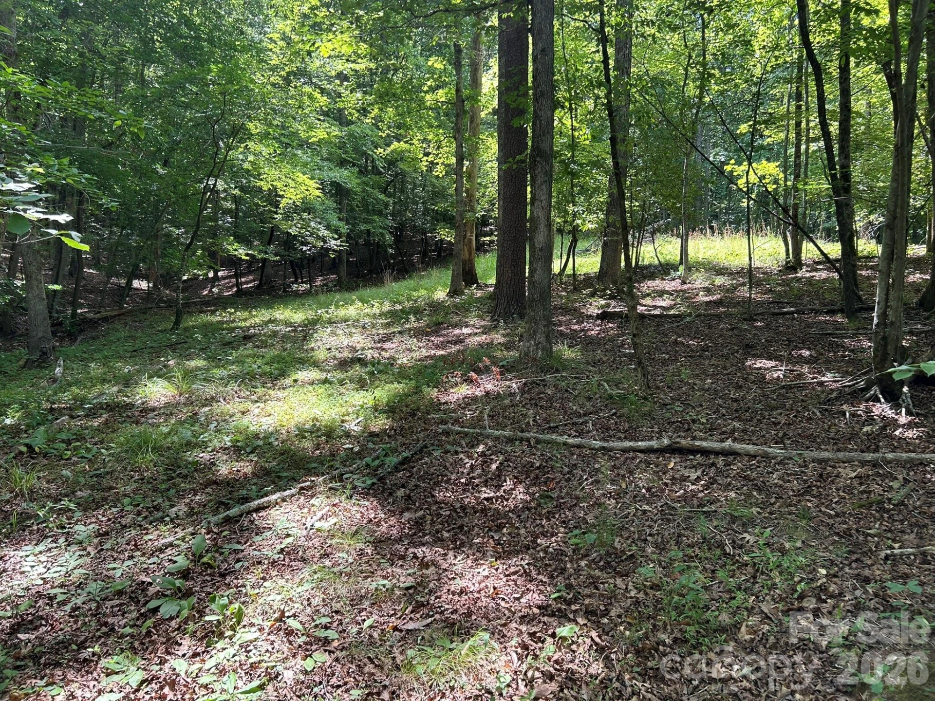 0 Wilderness Ridge #4 - Photo 6