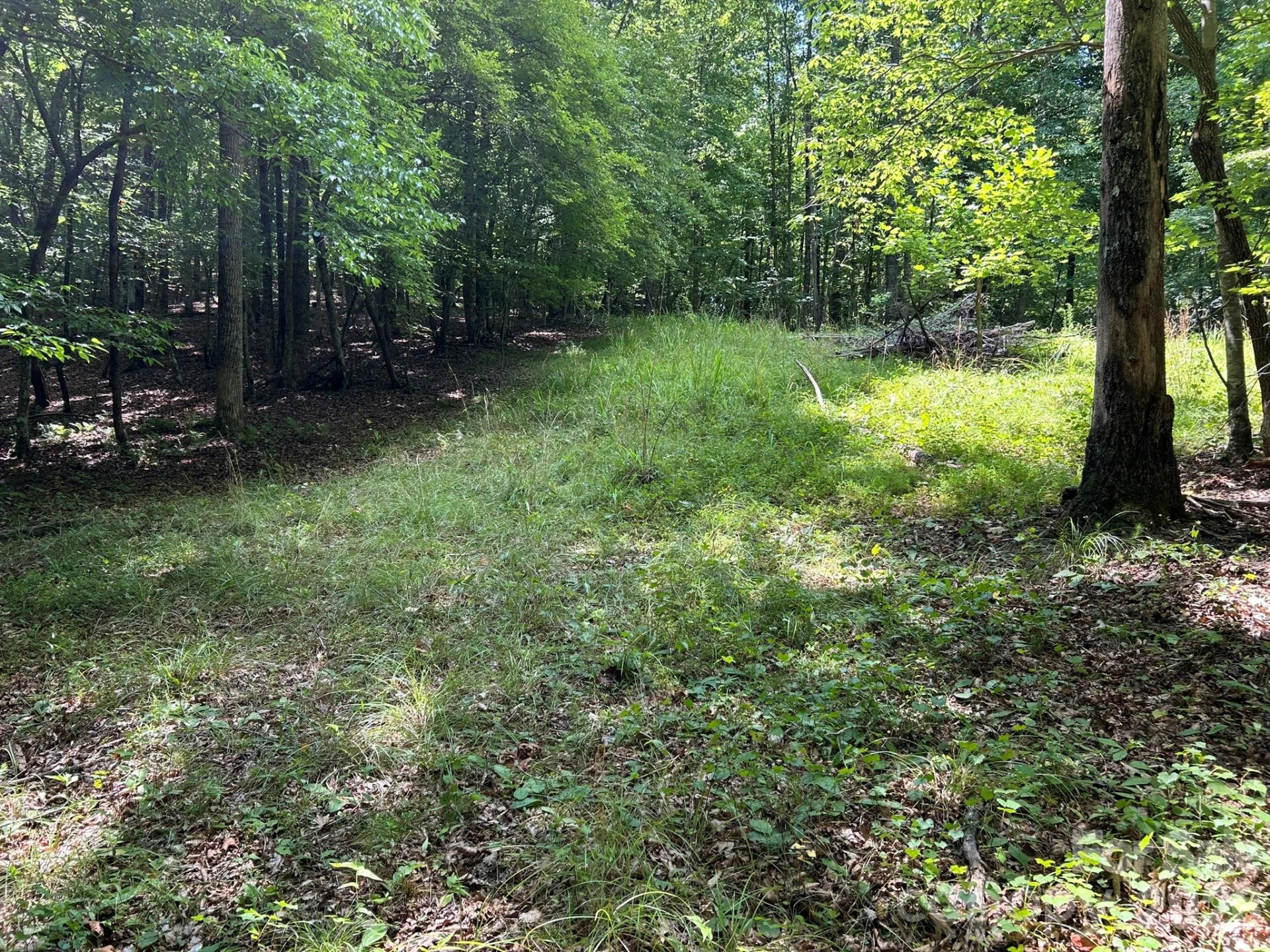0 Wilderness Ridge #4 - Photo 7