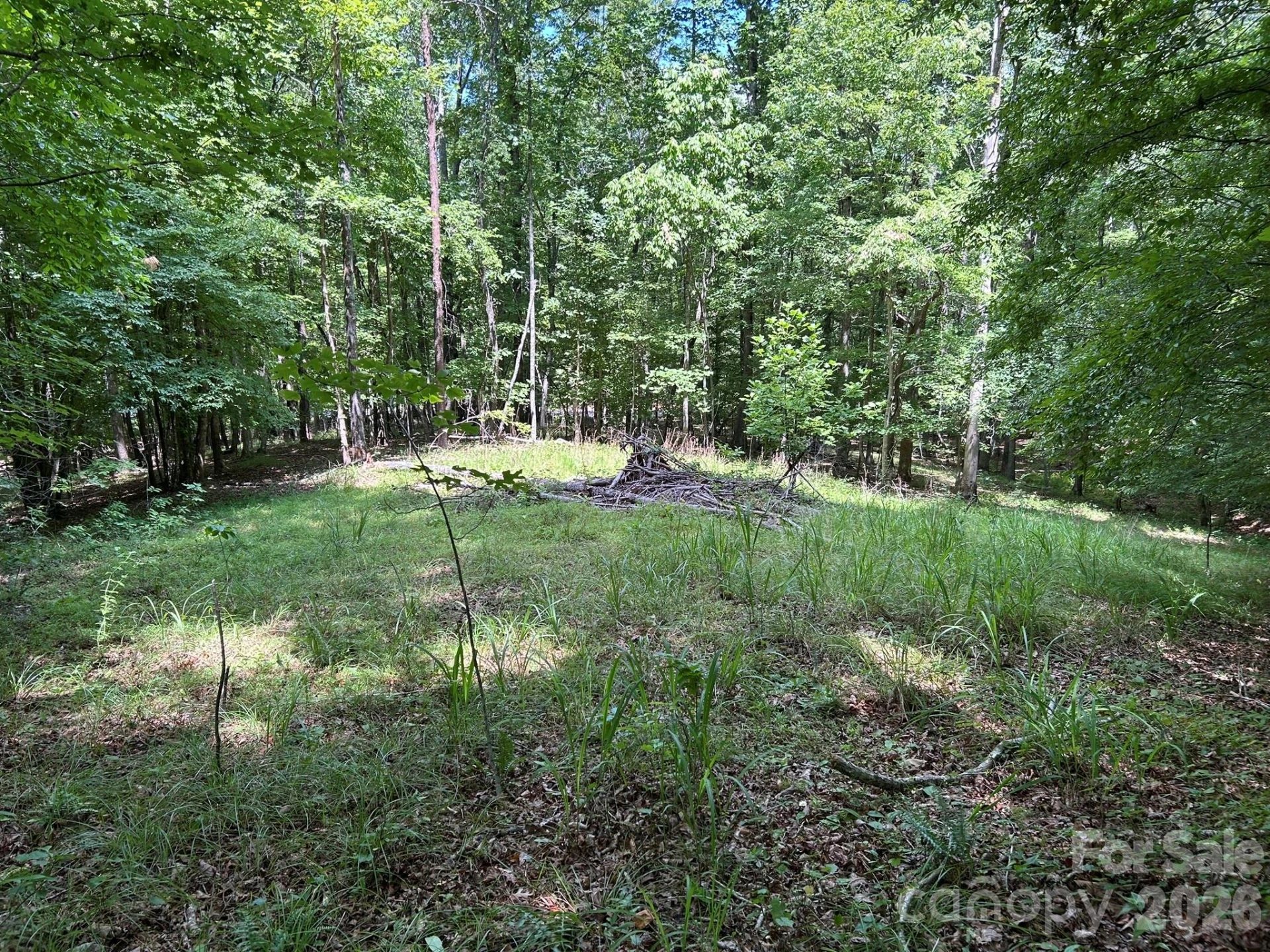 0 Wilderness Ridge #4 - Photo 8