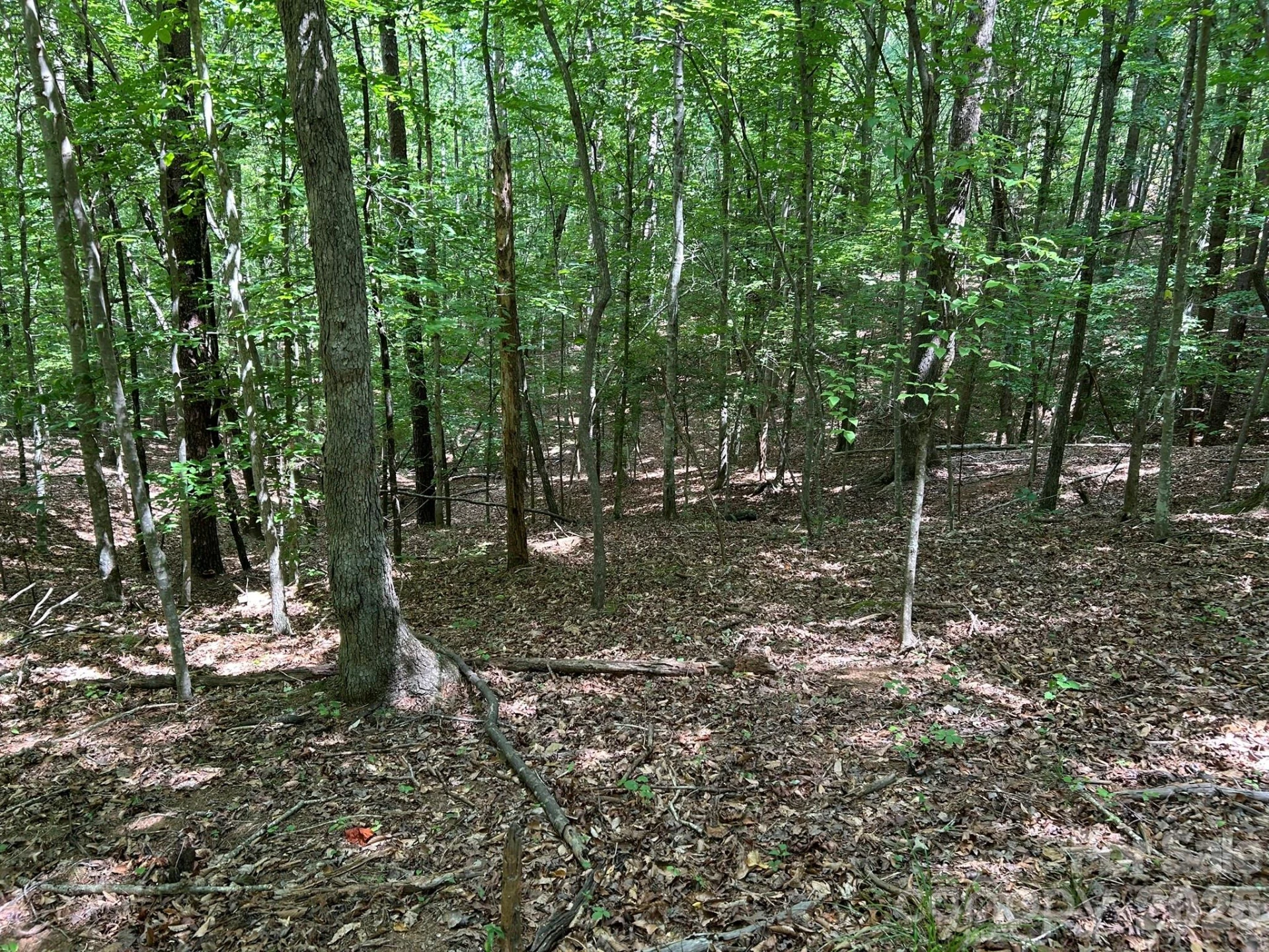 0 Wilderness Ridge #4 - Photo 10