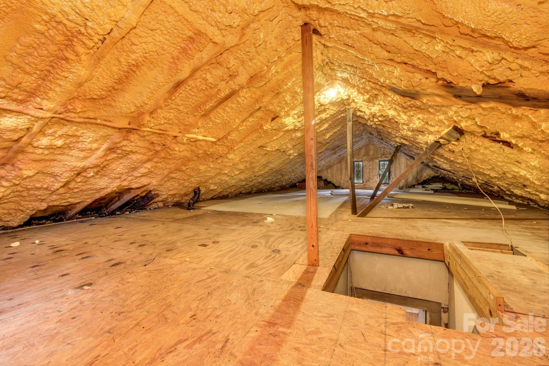 22 Fenner Avenue - Photo 42