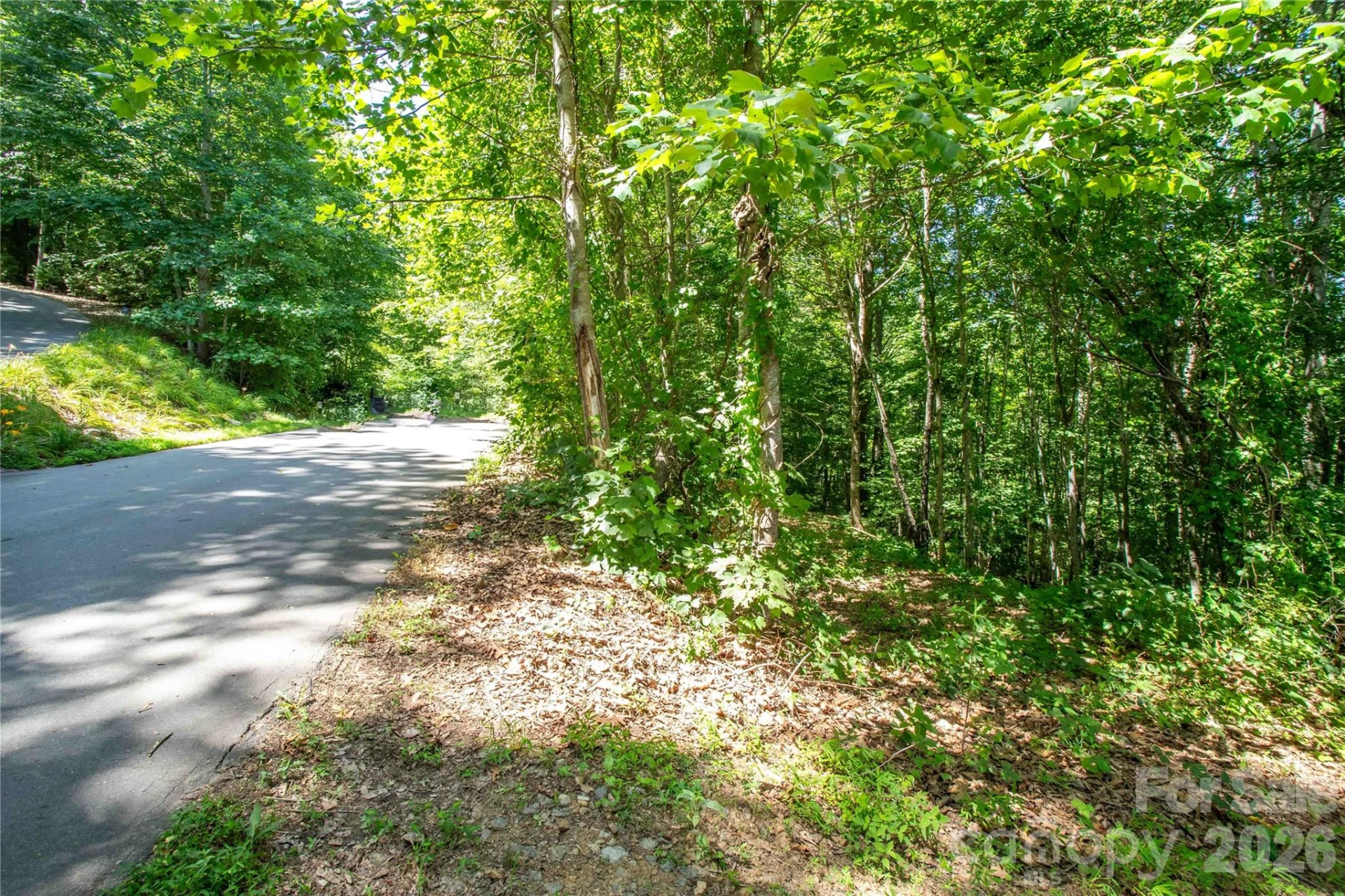 71 Timberwood Drive