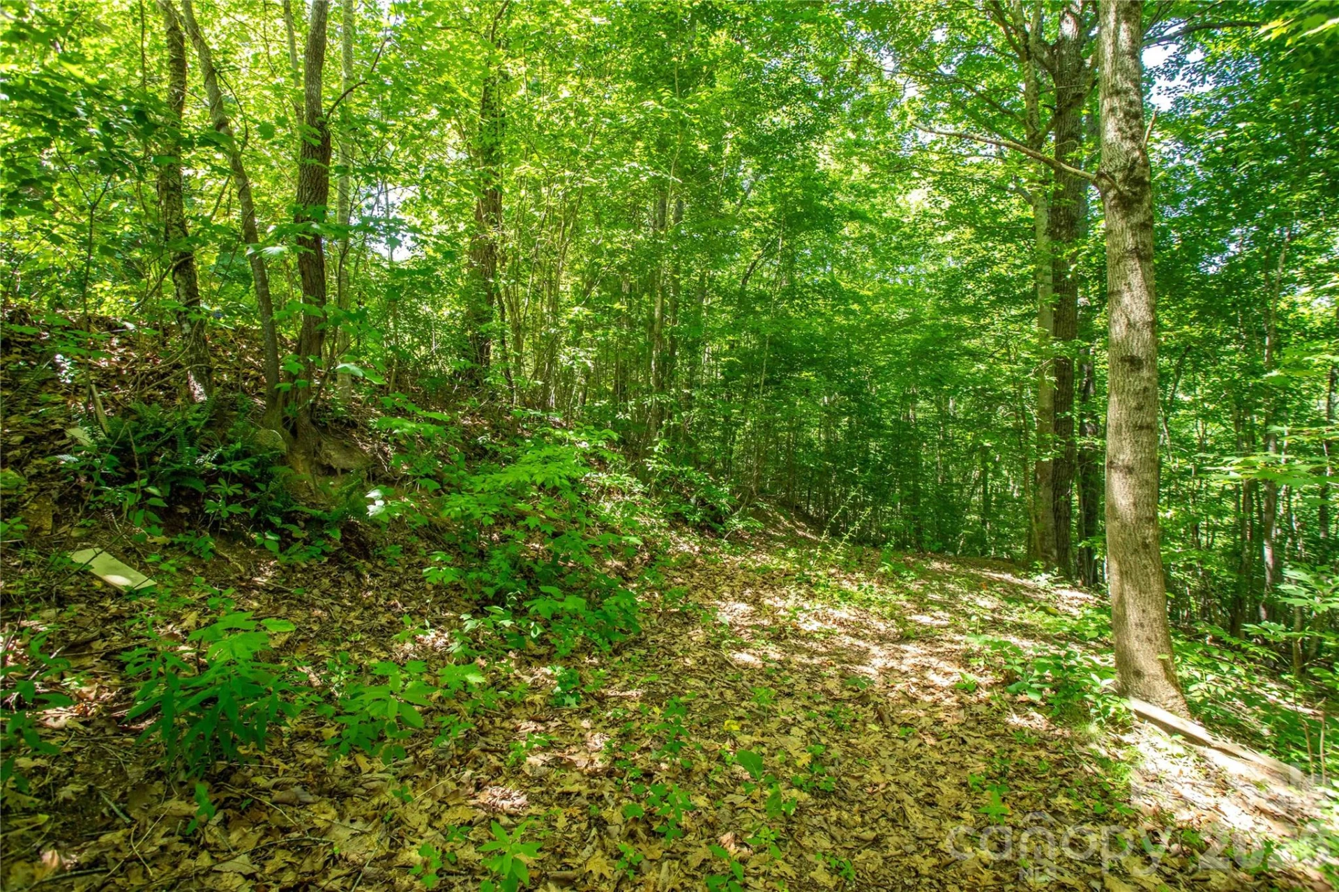 71 Timberwood Drive - Photo 2