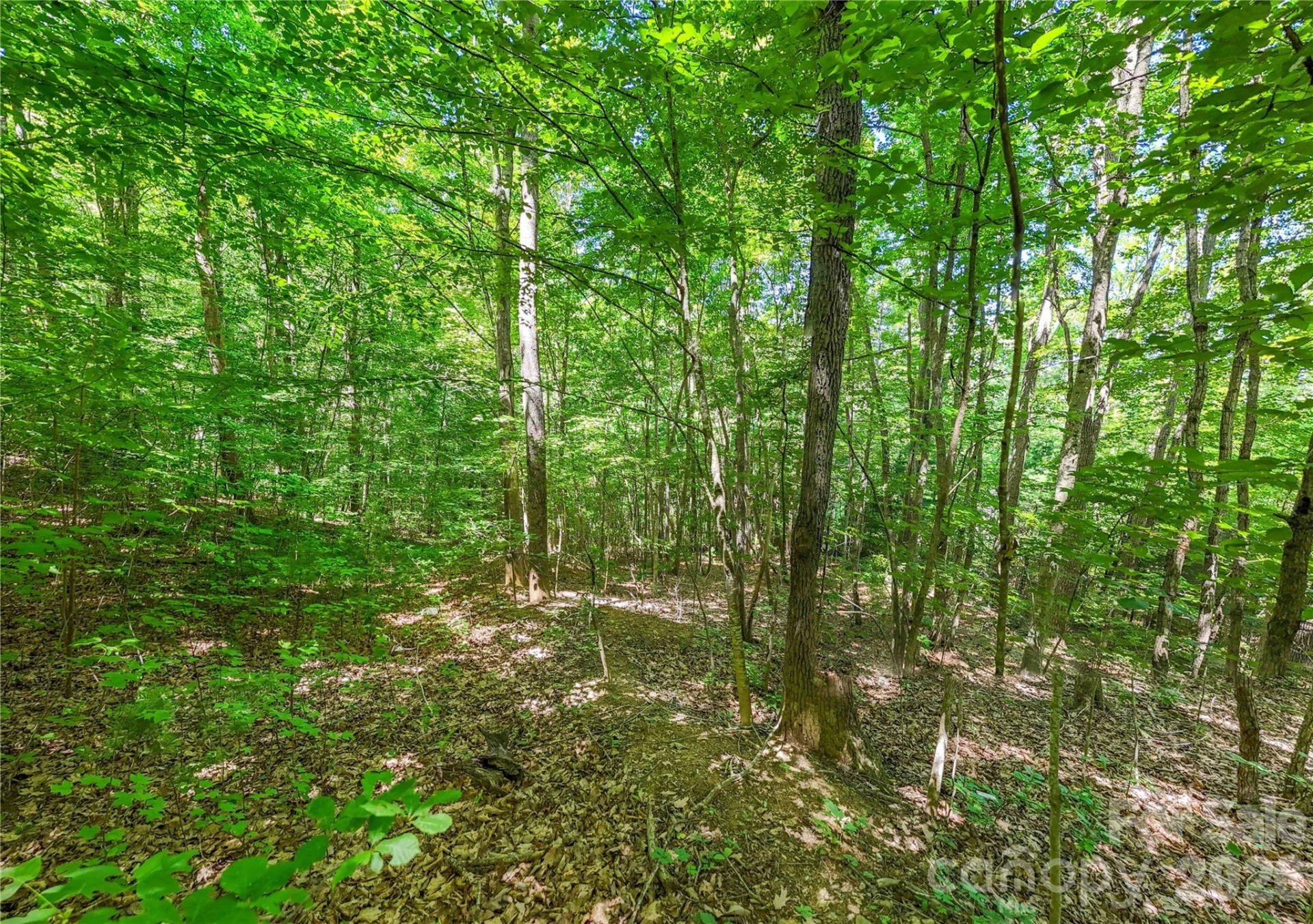 71 Timberwood Drive - Photo 4