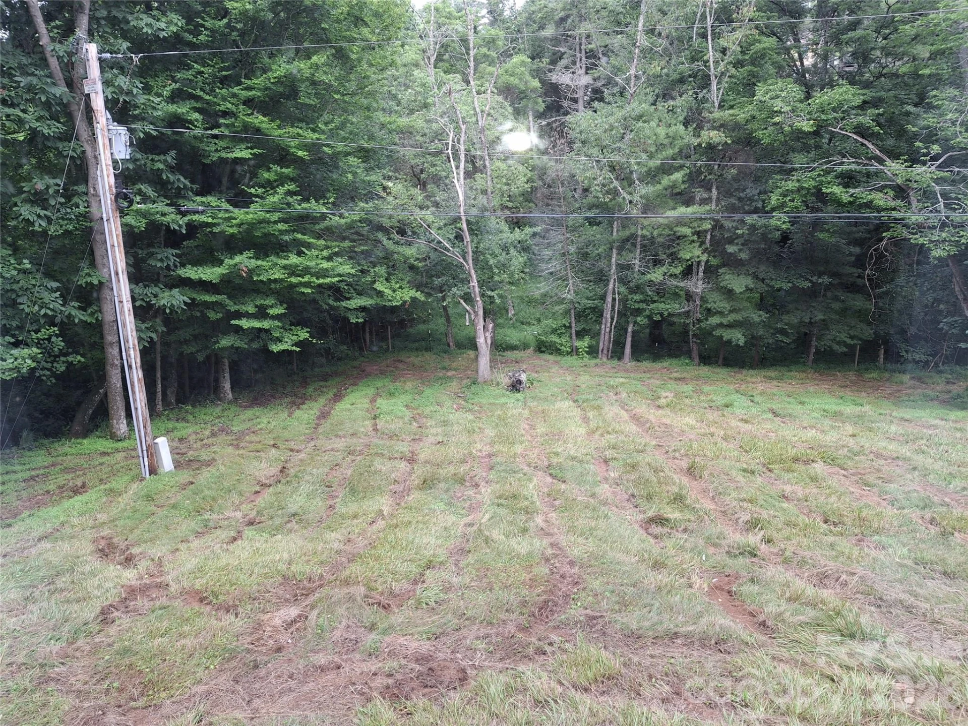 232 Tilson Drive - Photo 5