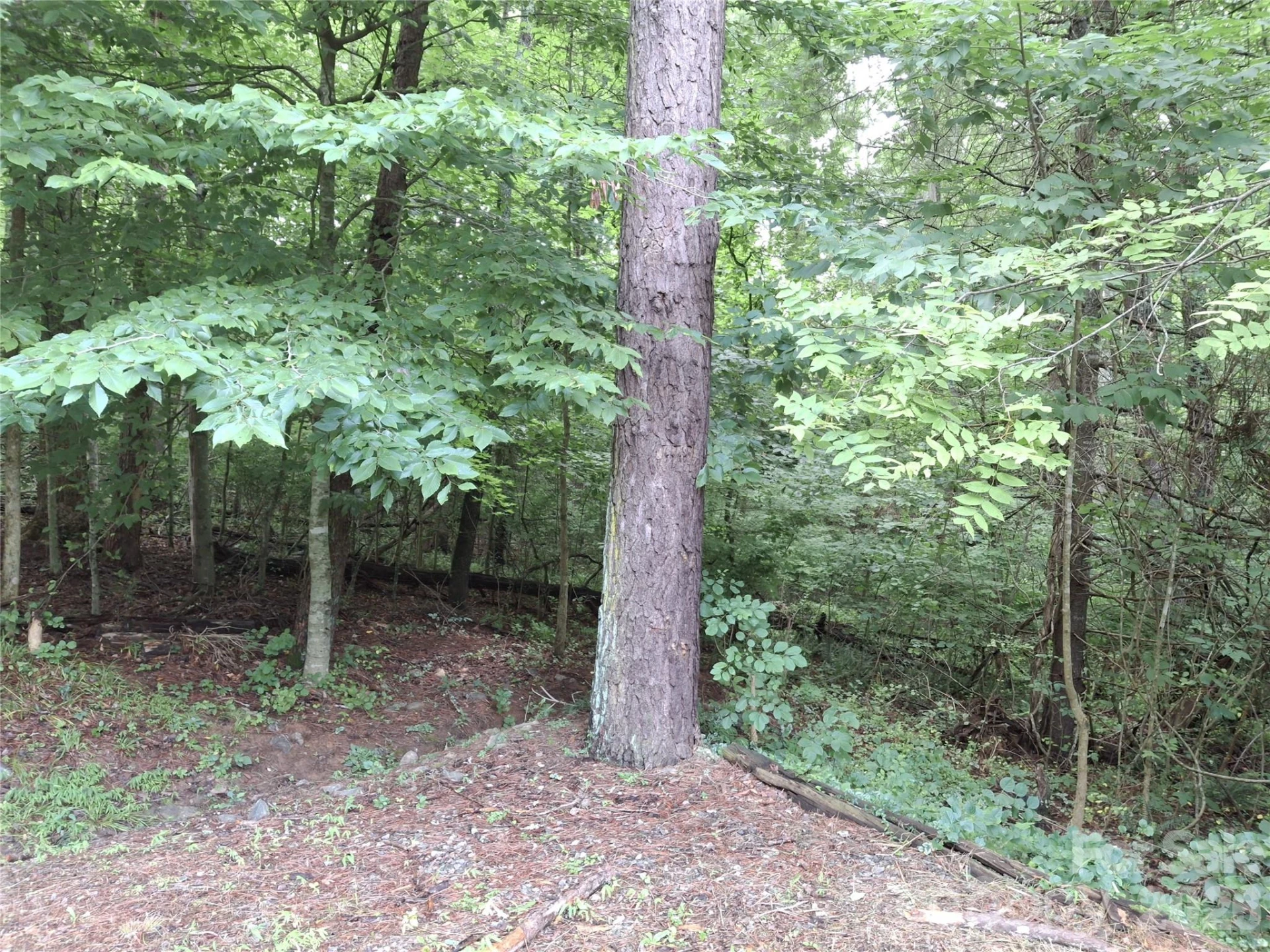 232 Tilson Drive - Photo 8