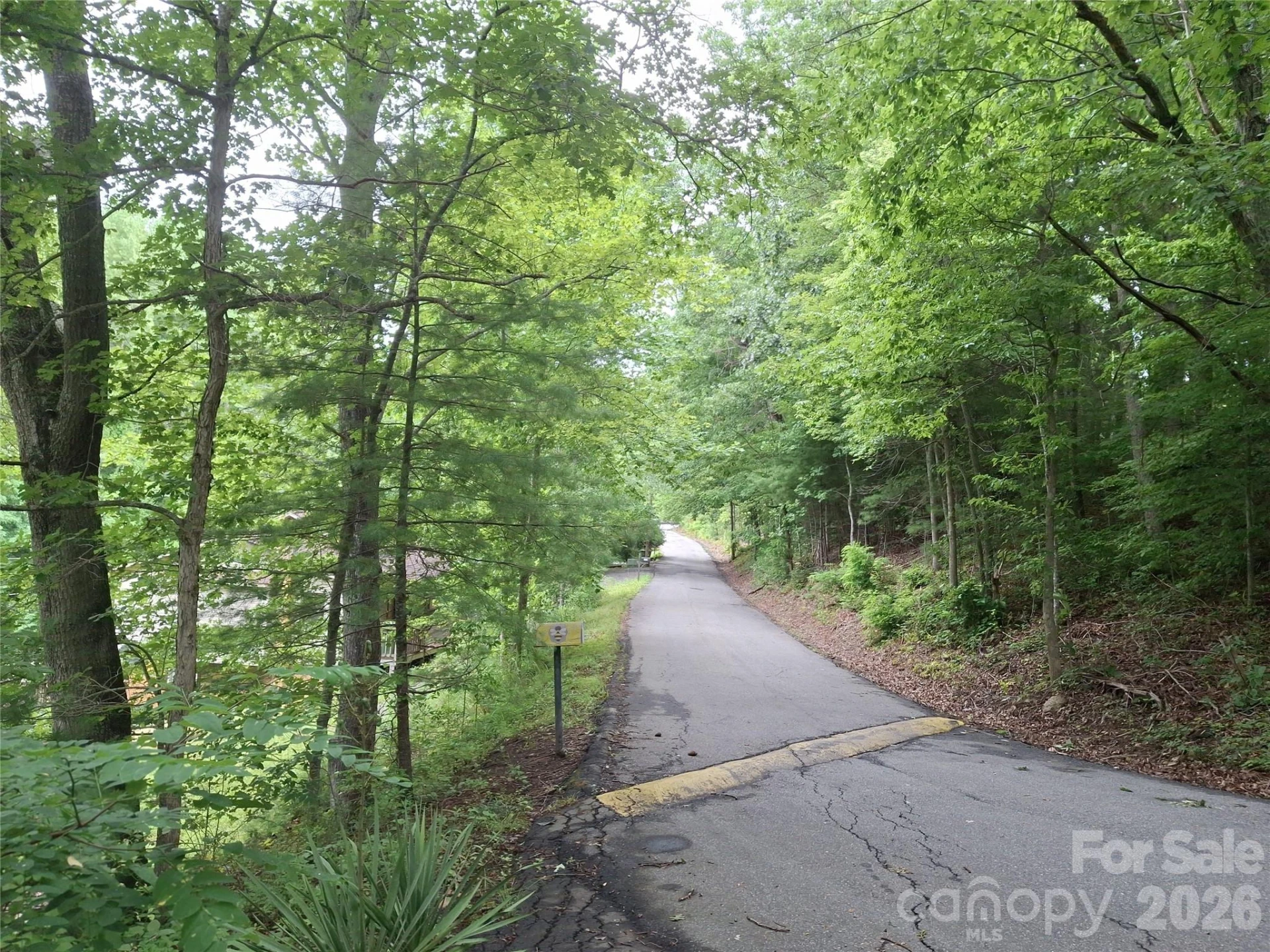 232 Tilson Drive - Photo 9