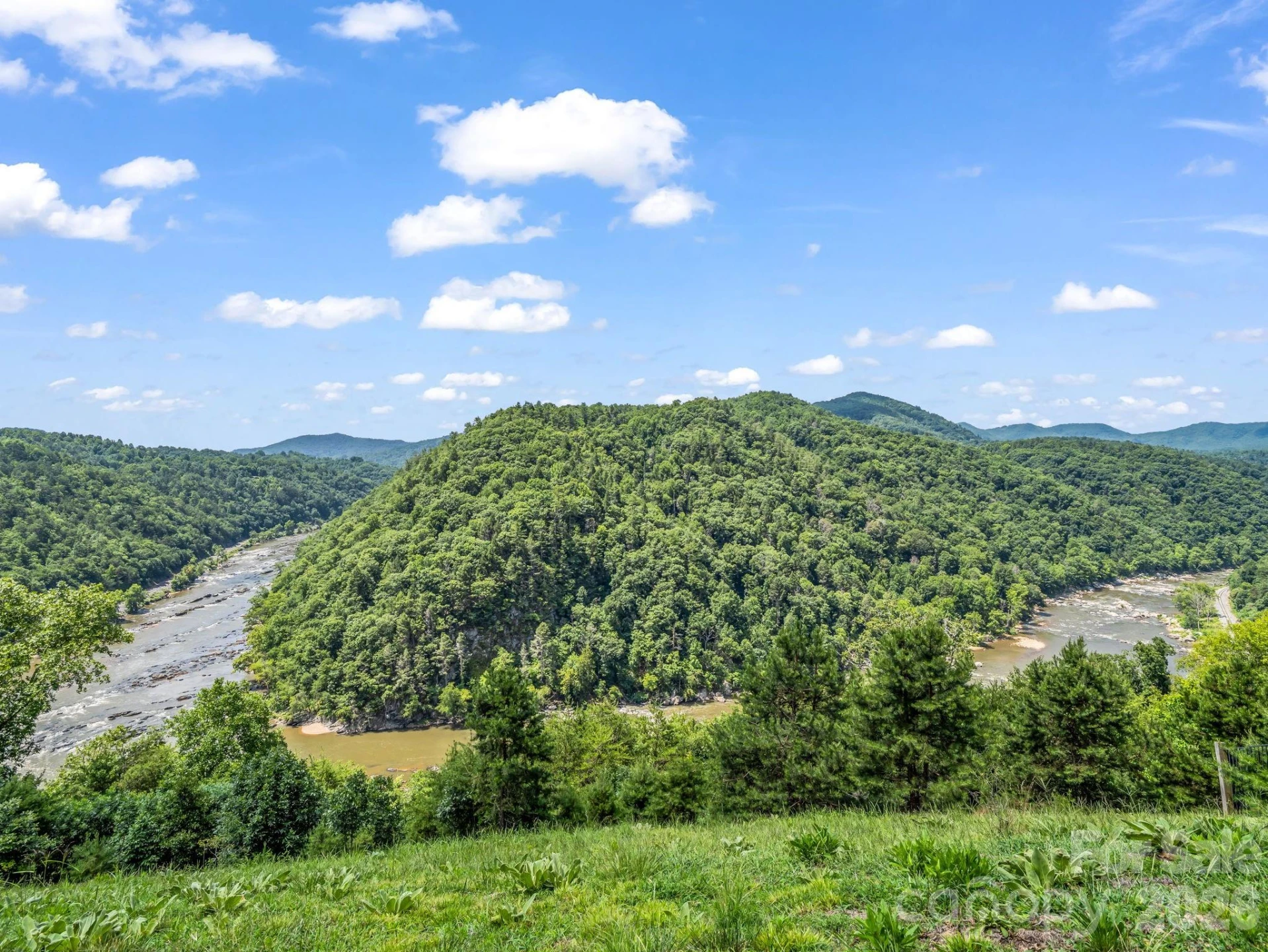 3670 French Broad Parkway - Photo 15