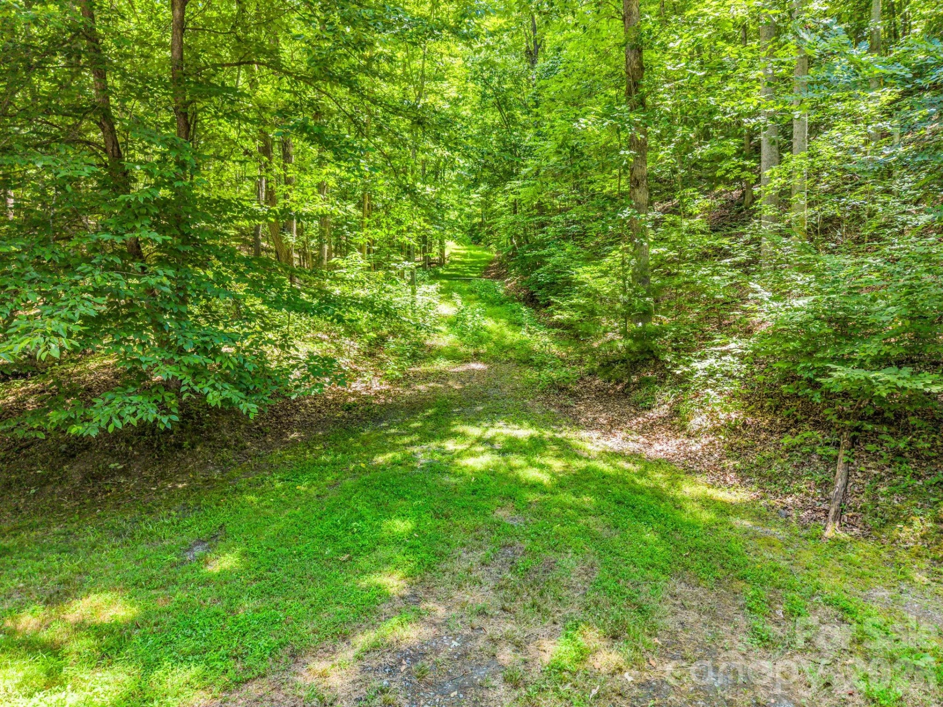 3670 French Broad Parkway - Photo 8