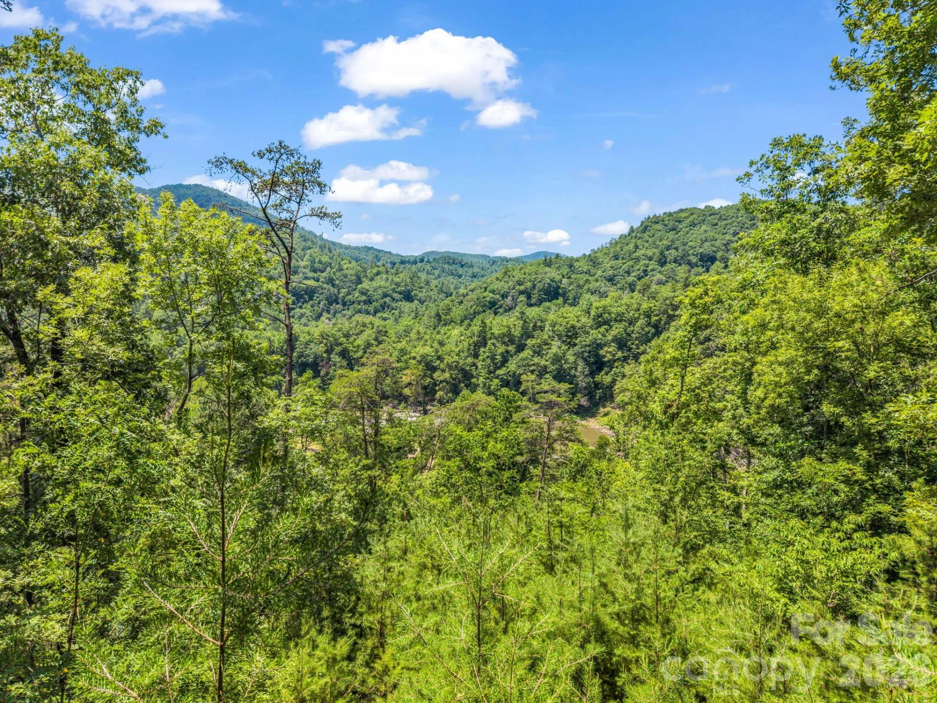 3670 French Broad Parkway - Photo 10