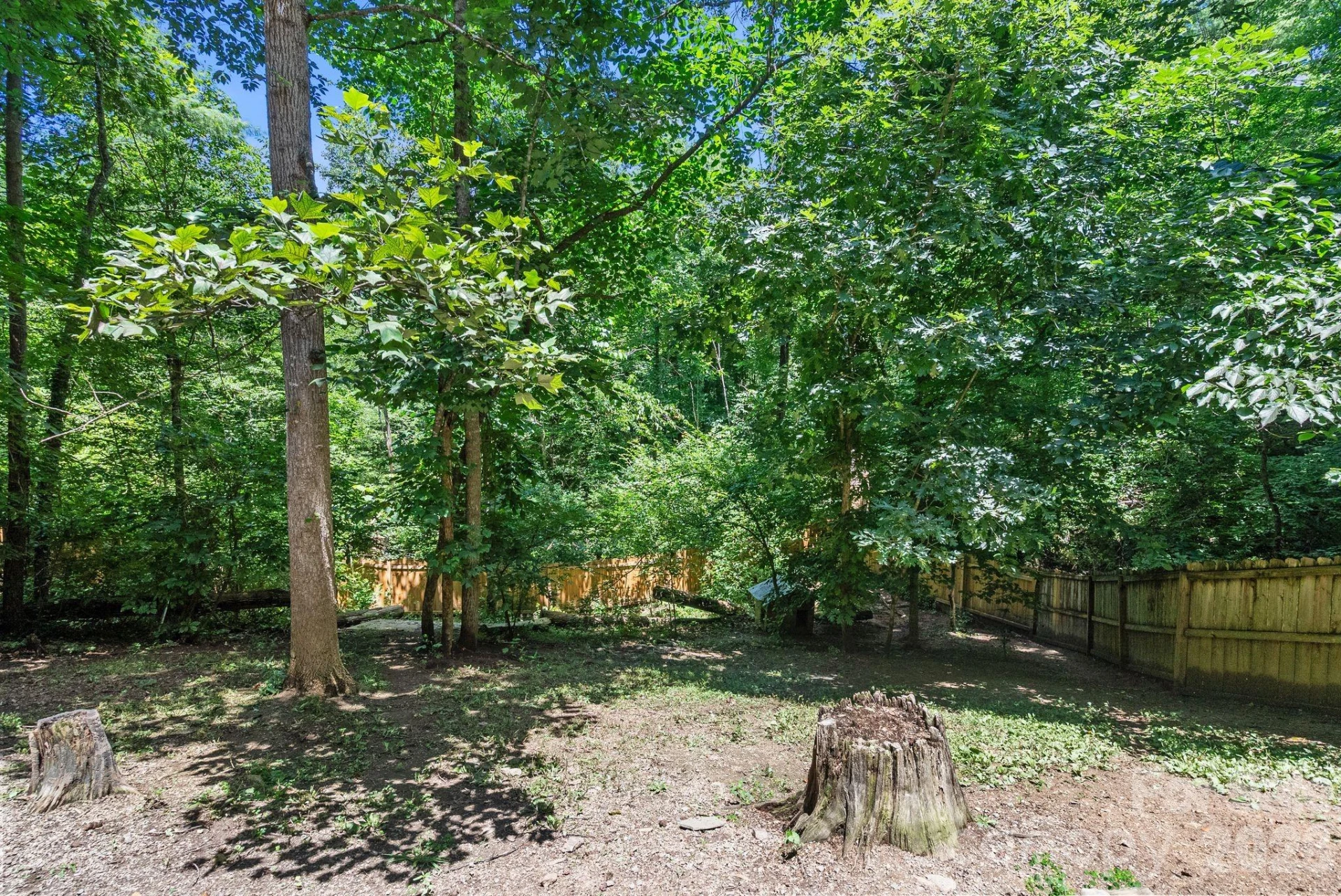 15 Forest Ridge Lane - Photo 5
