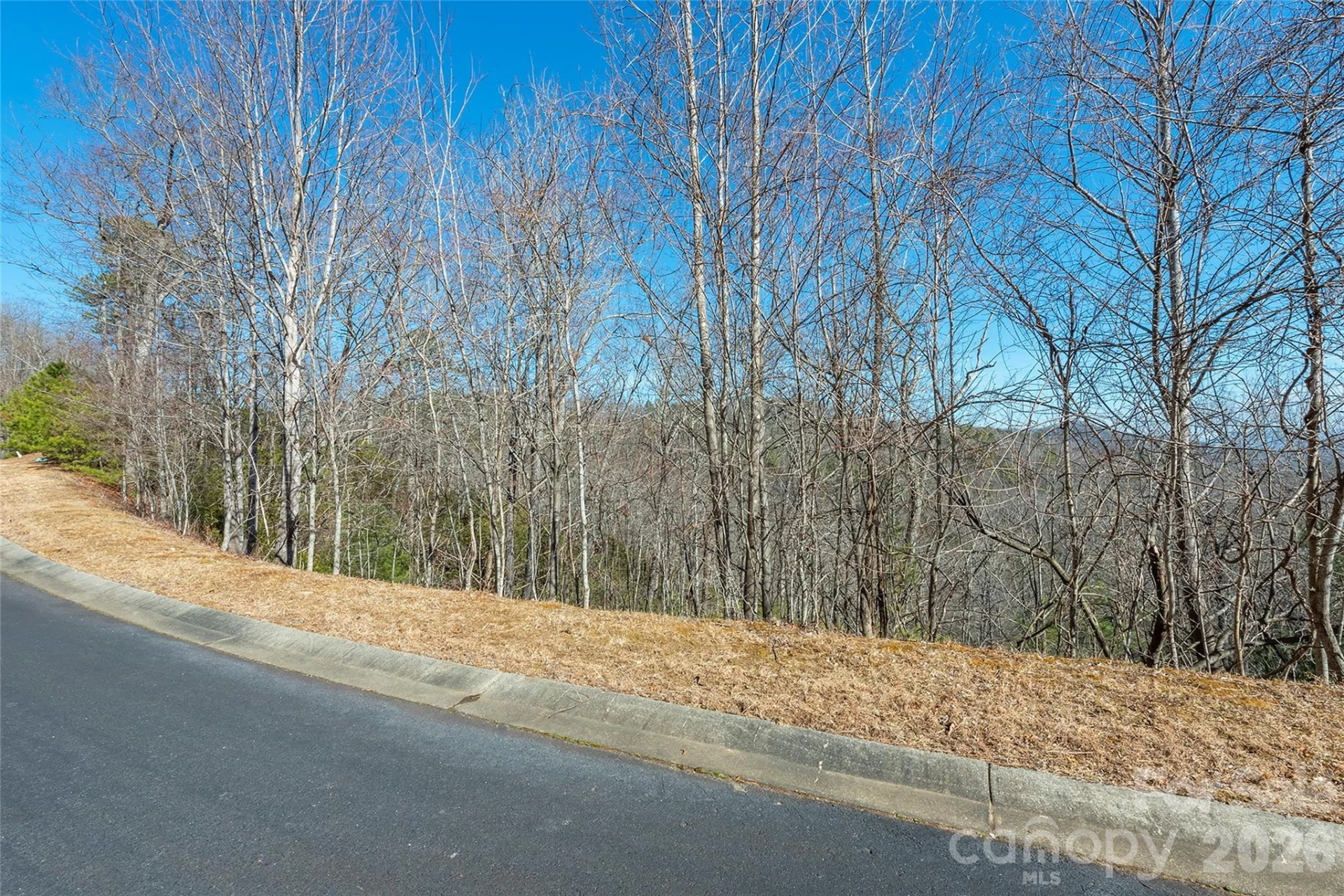 99999 Mills River Way #108 - Photo 5
