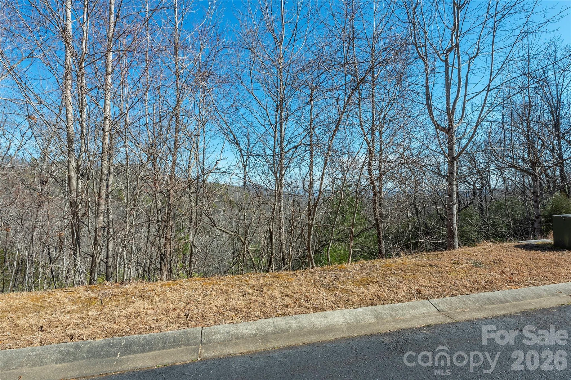 99999 Mills River Way #108 - Photo 6
