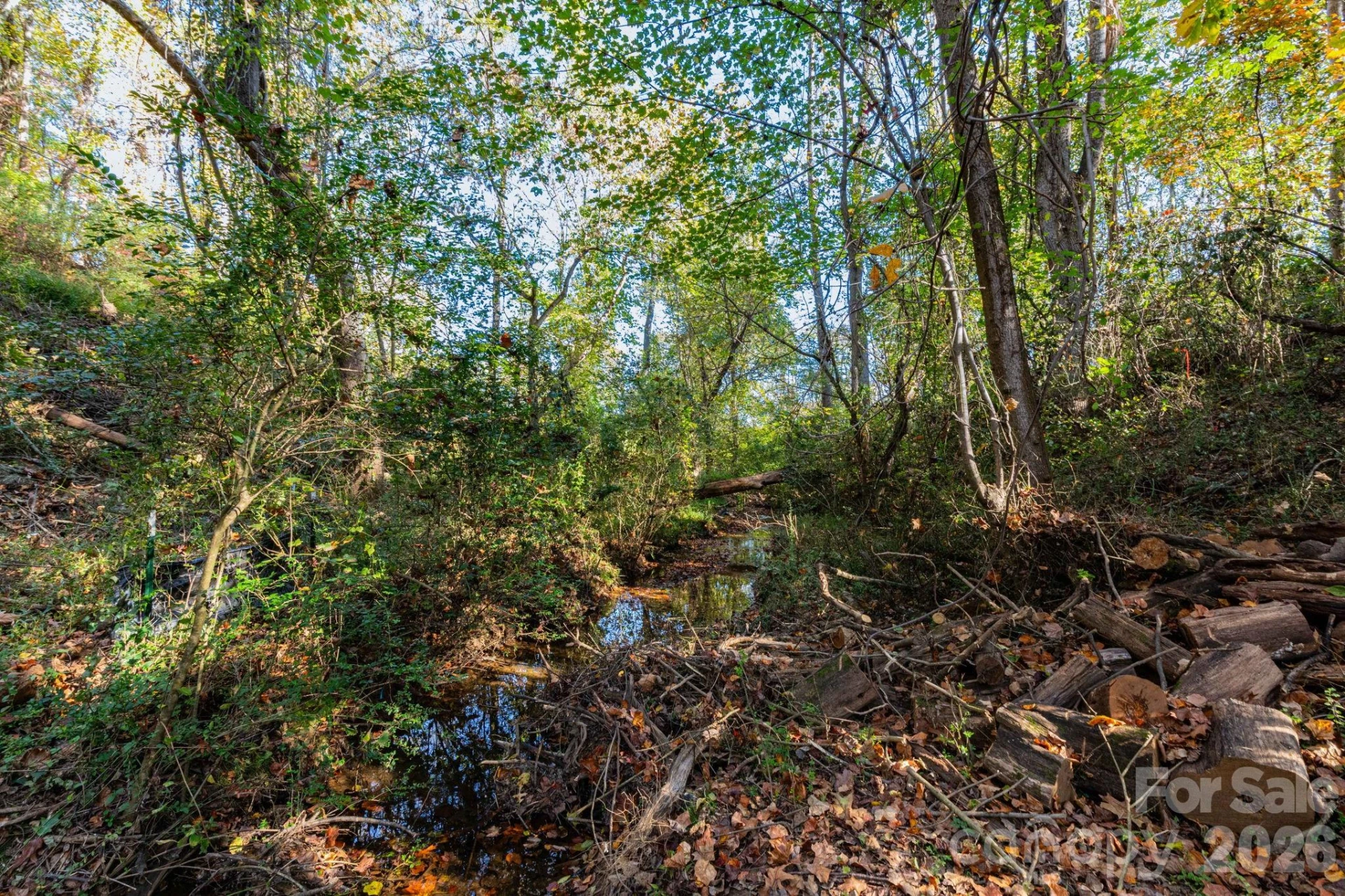 30 Waynesville Avenue - Photo 7