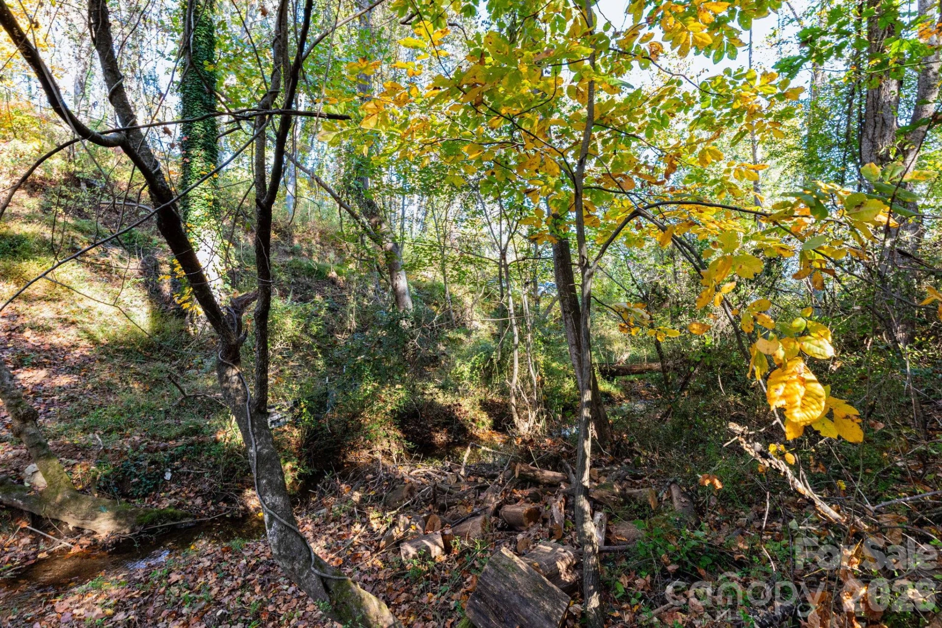 30 Waynesville Avenue - Photo 8