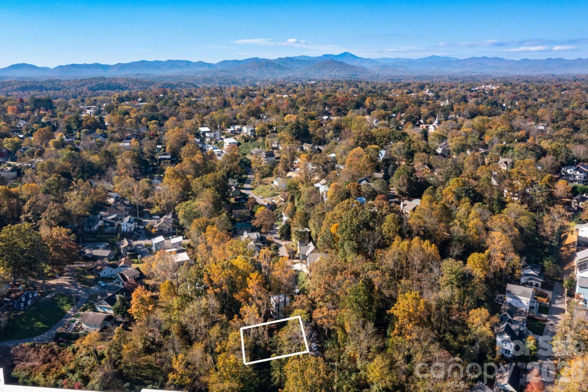 30 Waynesville Avenue - Photo 9
