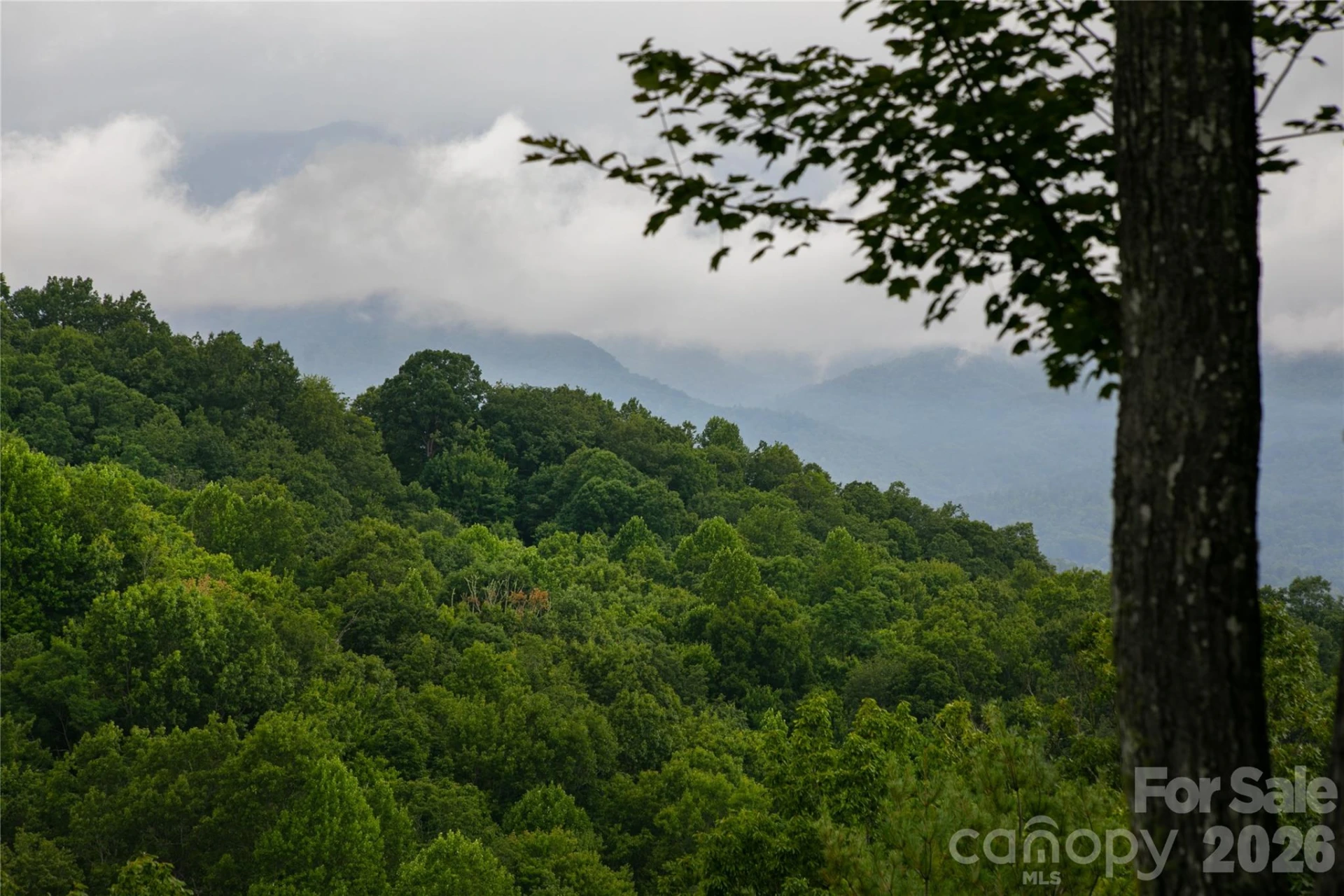 264 Tinequa Drive - Photo 2