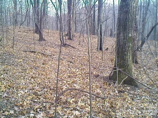 Lot 246 Glen Ridge Trail - Photo 3