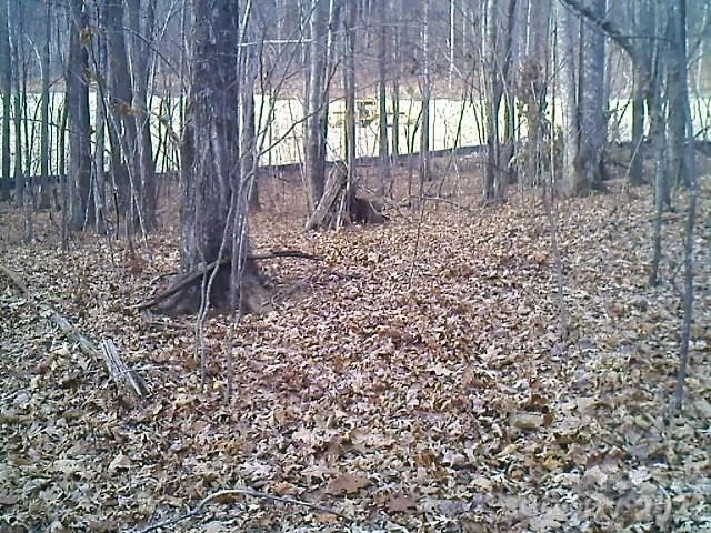 Lot 246 Glen Ridge Trail - Photo 4