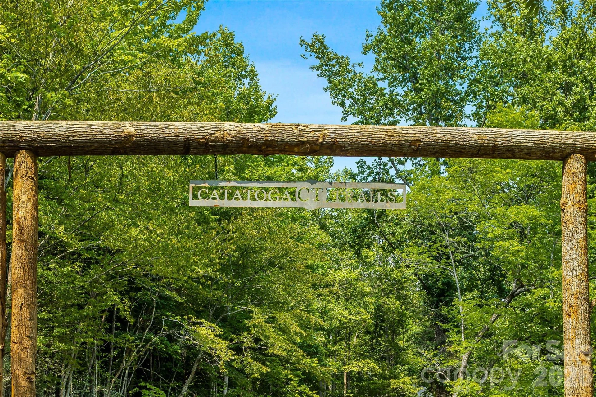 107 Catatoga Trail - Photo 23