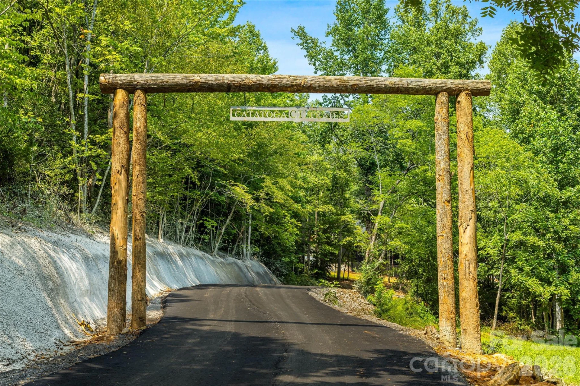 107 Catatoga Trail - Photo 24