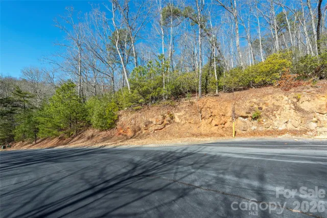 99999 Caddis Lane, Horse Shoe, NC, 28742