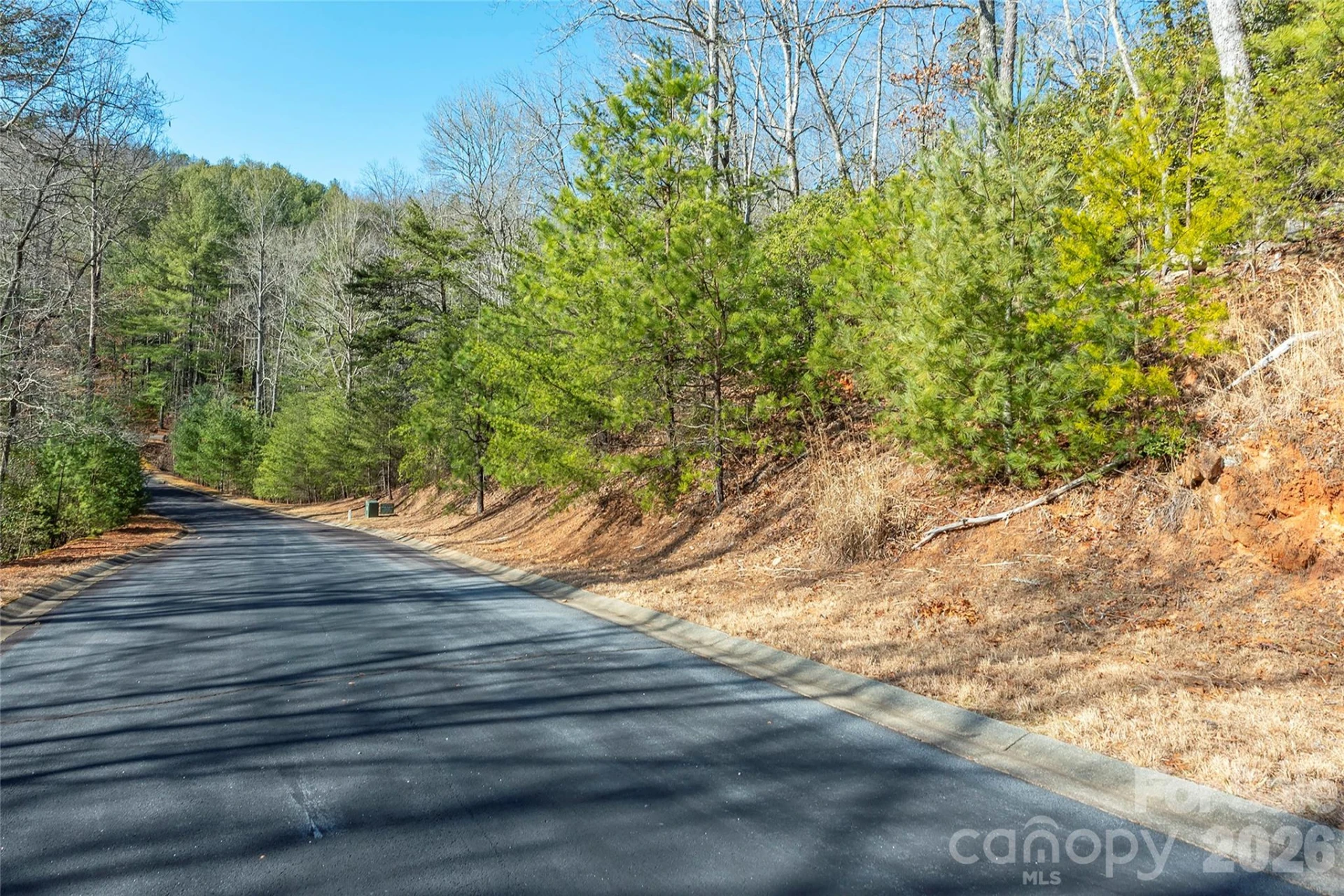 99999 Caddis Lane #92 - Photo 8