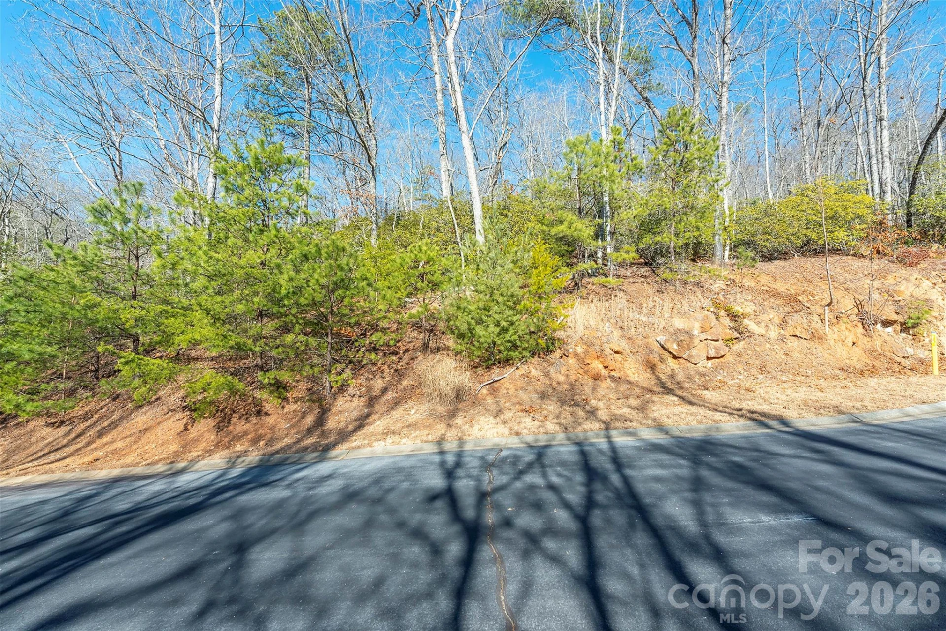 99999 Caddis Lane #92 - Photo 9