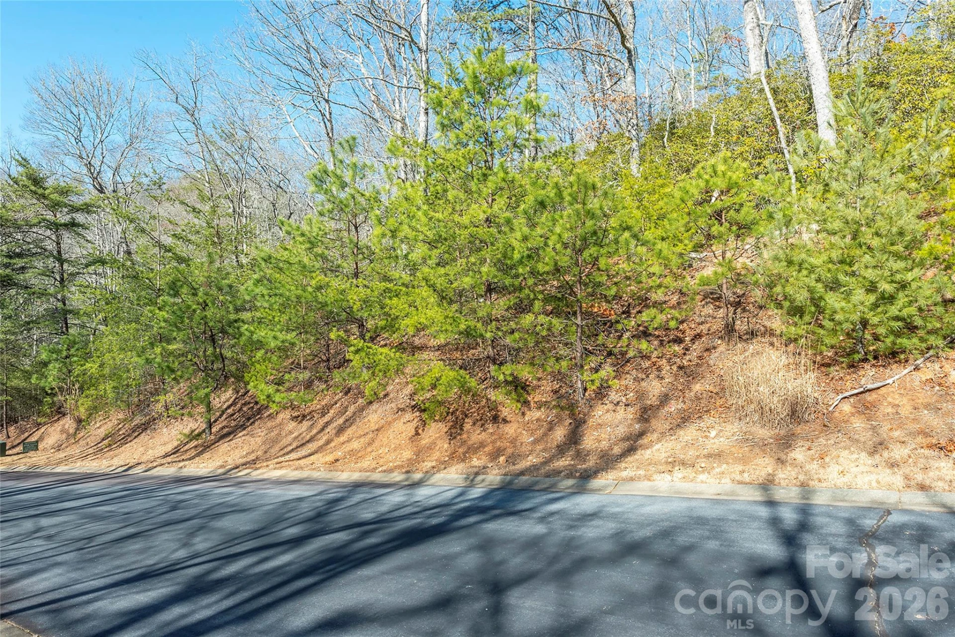 99999 Caddis Lane #92 - Photo 10