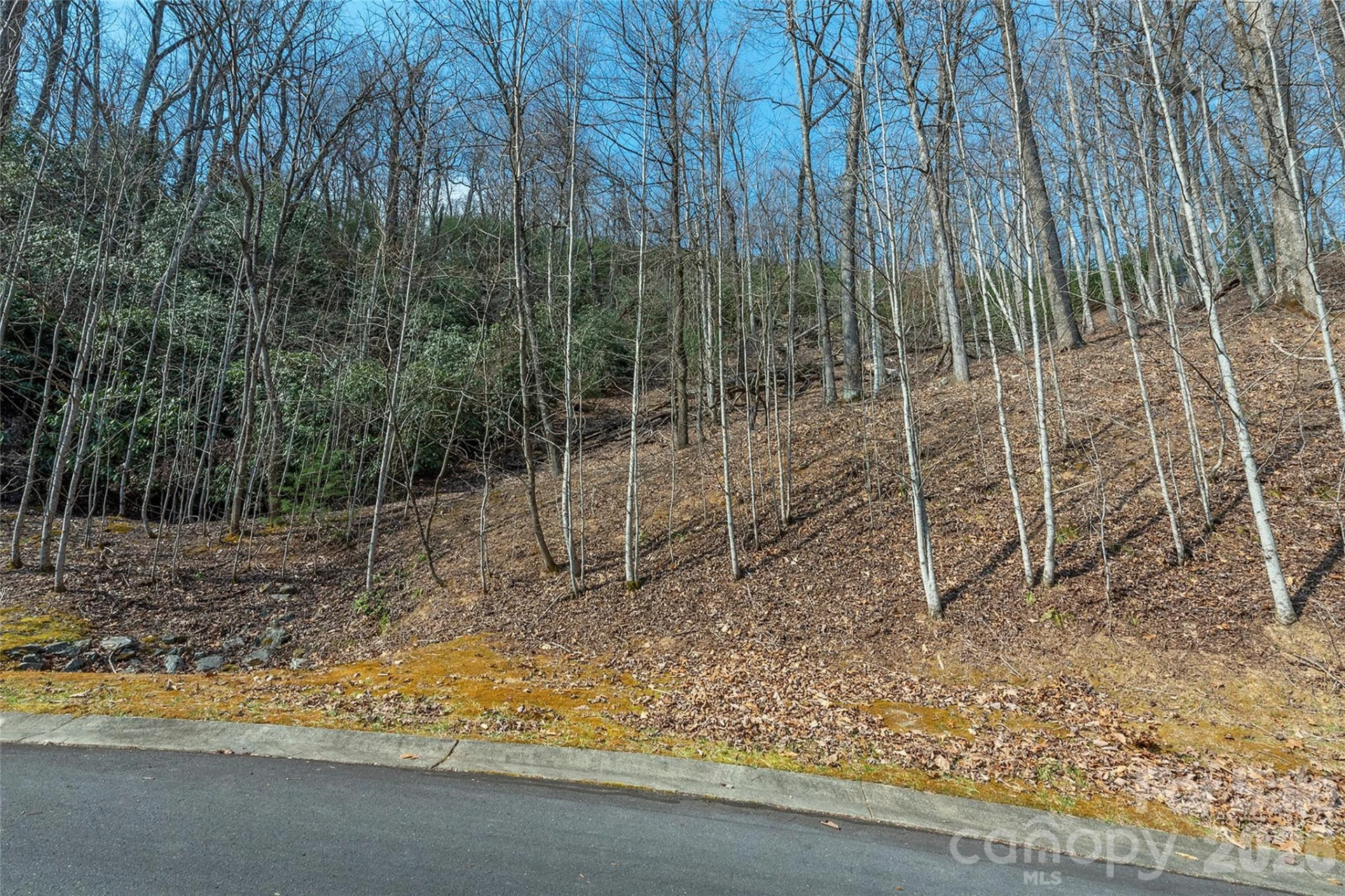 Lot 11 Shining Rock Path - Photo 11