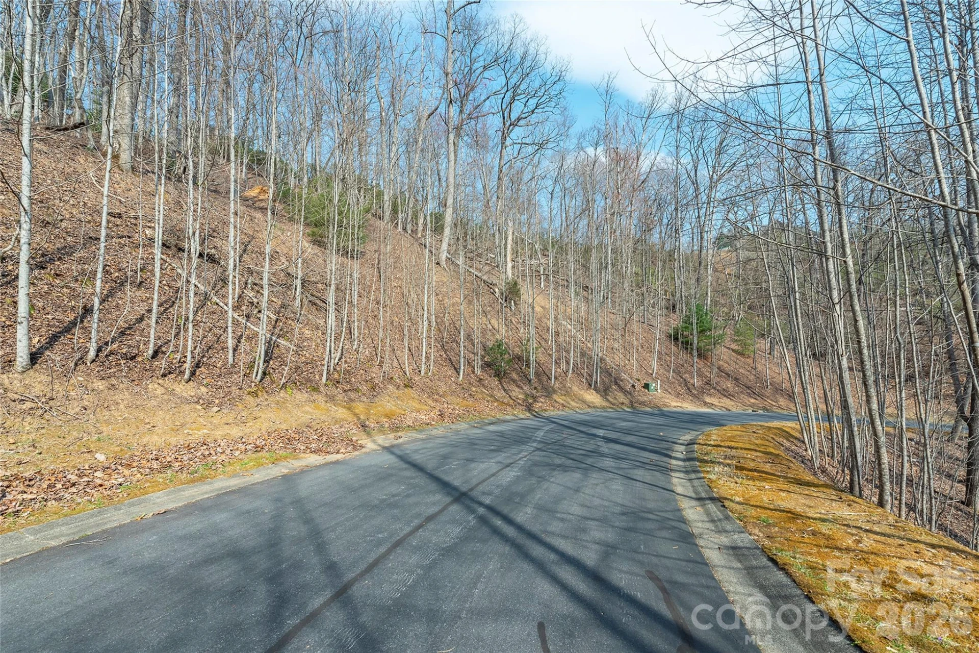 Lot 11 Shining Rock Path - Photo 9