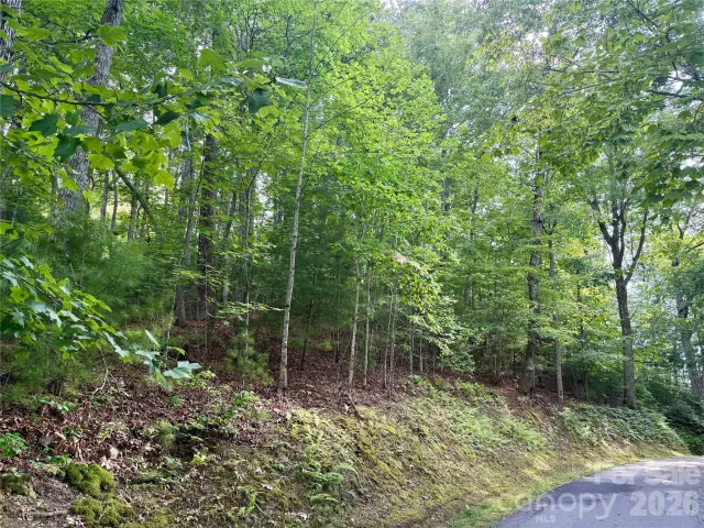 75 Longview Court, Marshall, NC, 28753