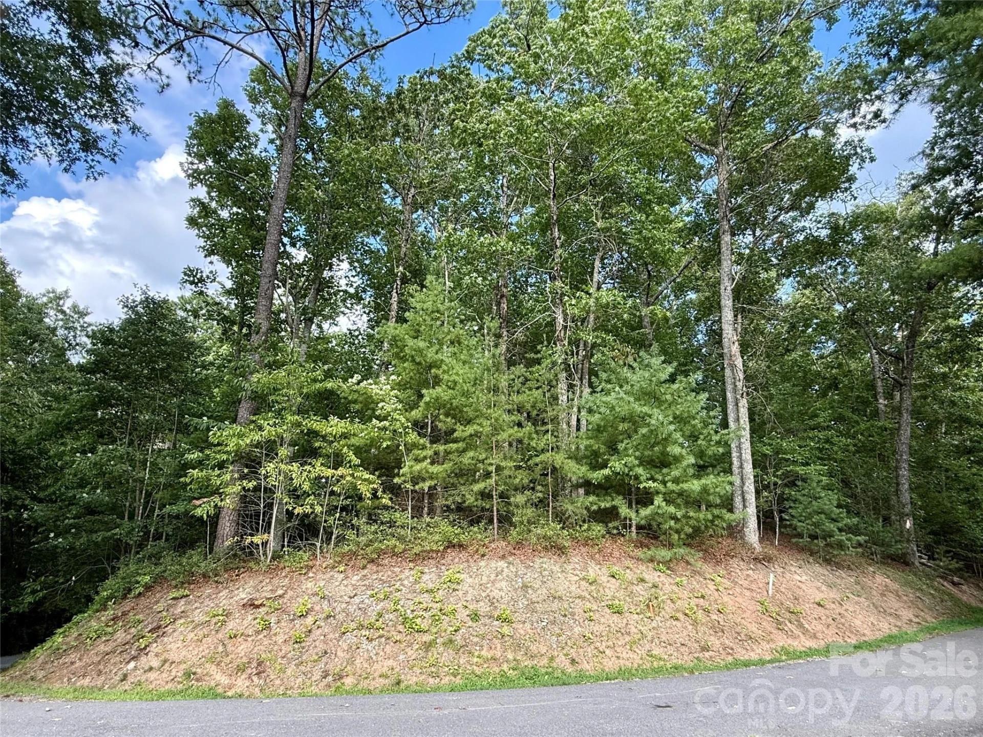 75 Longview Court #4 - Photo 2