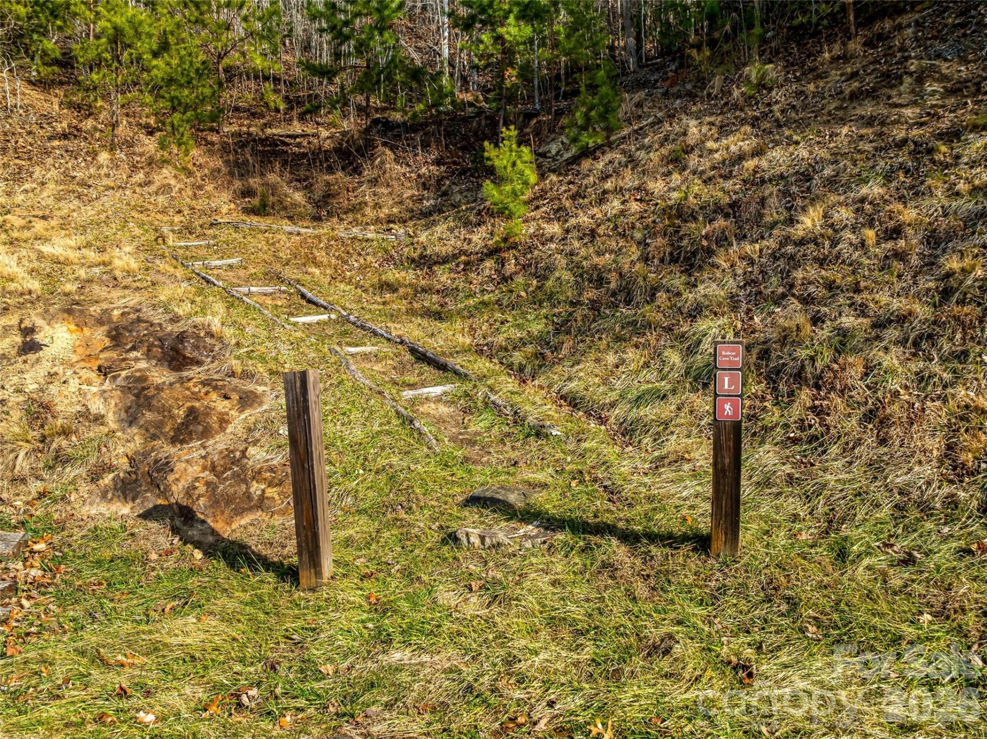 75 Longview Court #4 - Photo 29